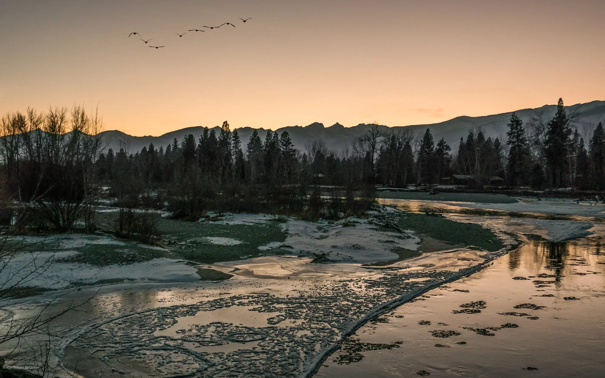 _1020150-Edit.jpg