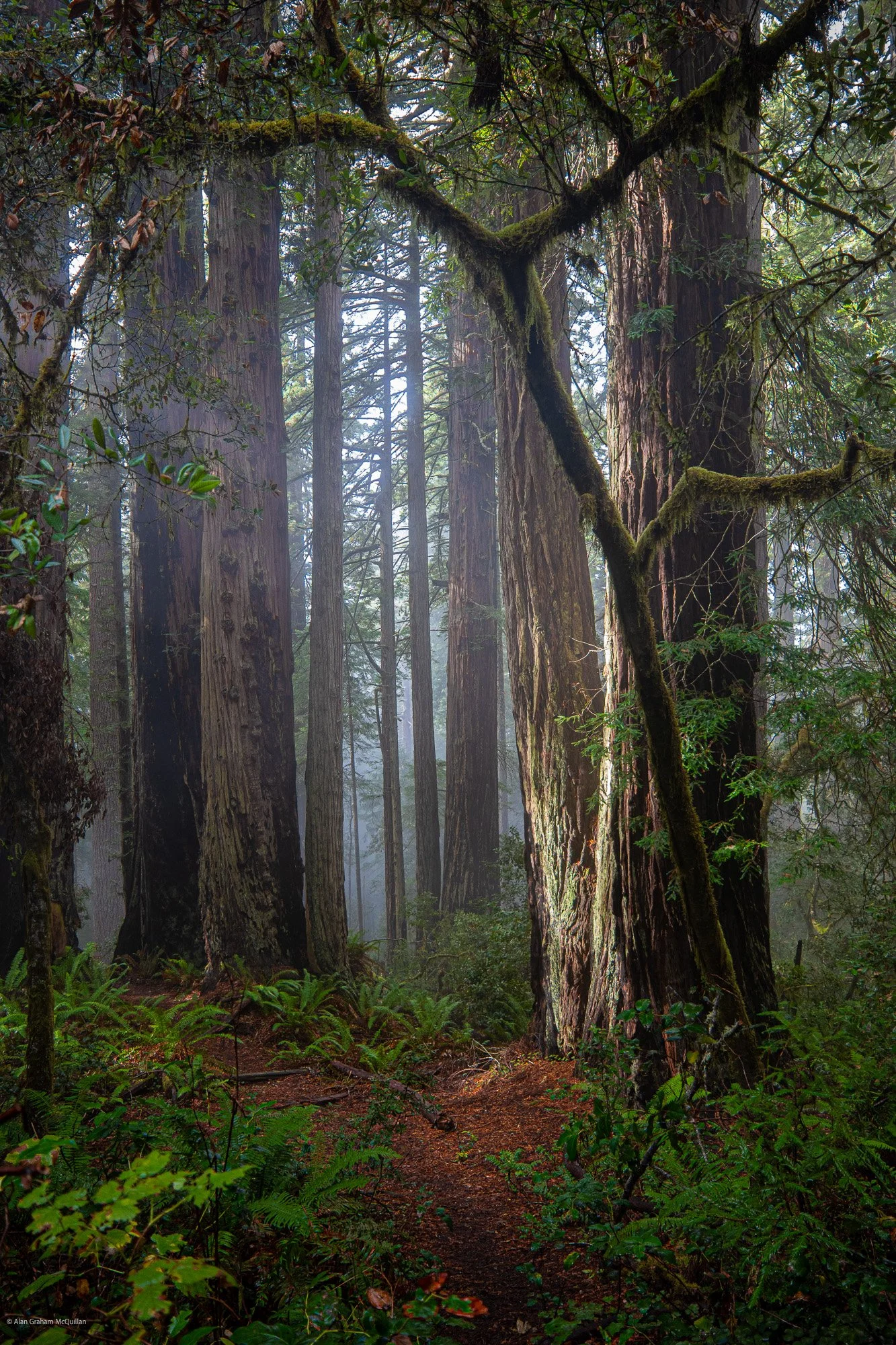 IPA 2024 Official Selection Professional-Nature