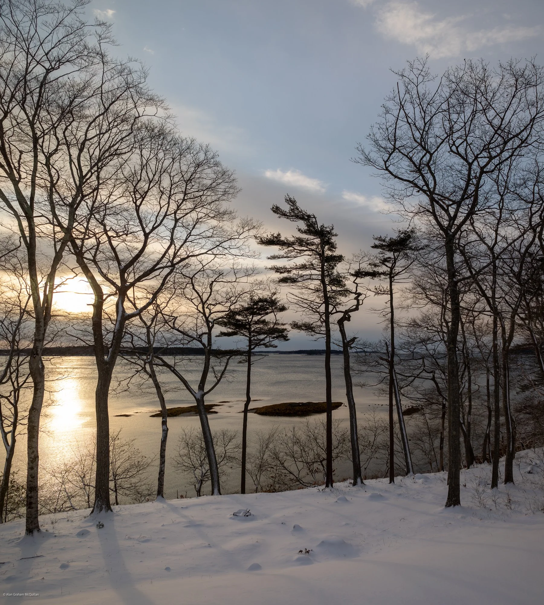 Winter sun