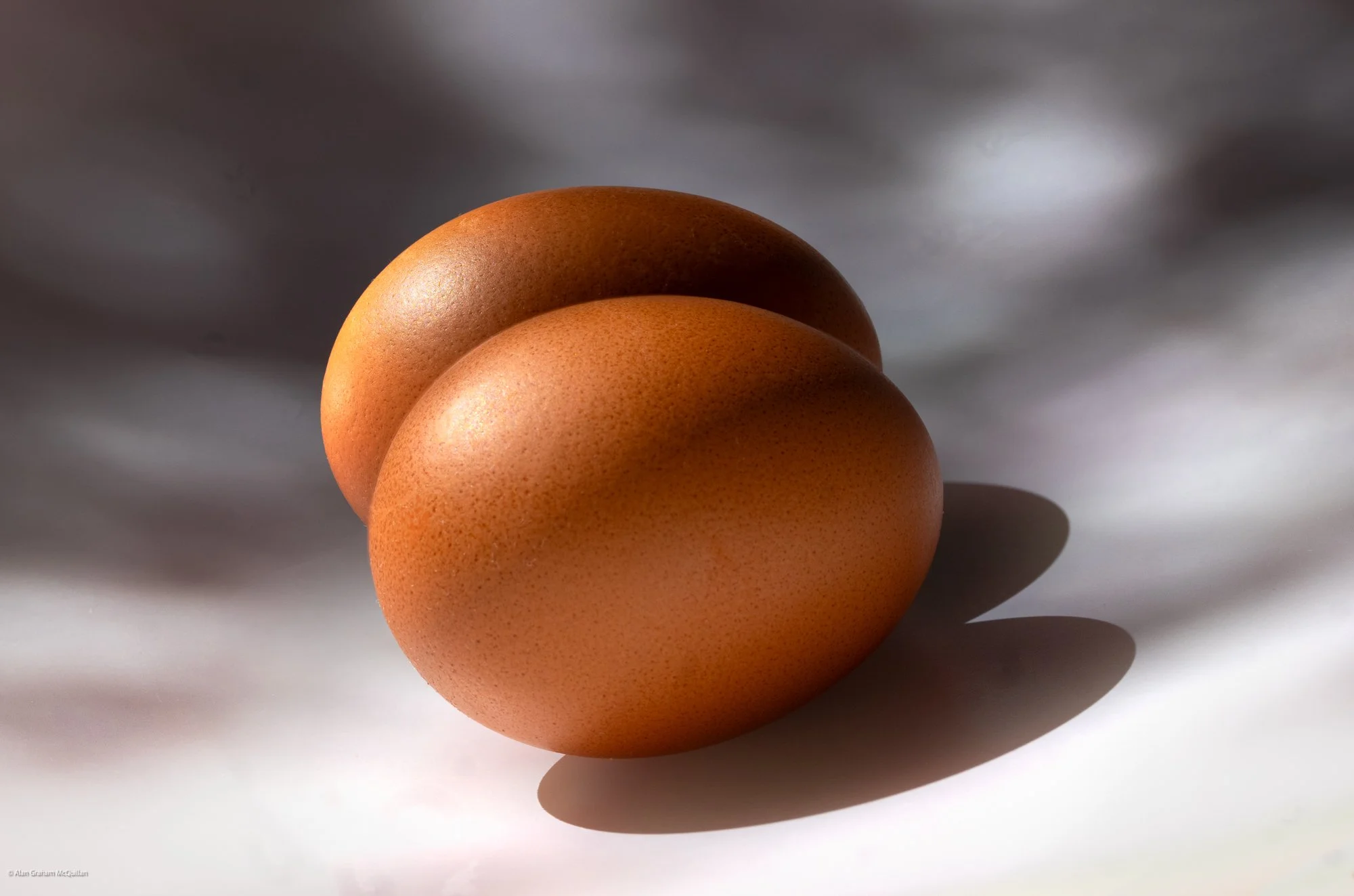 A pair of eggs, 2025