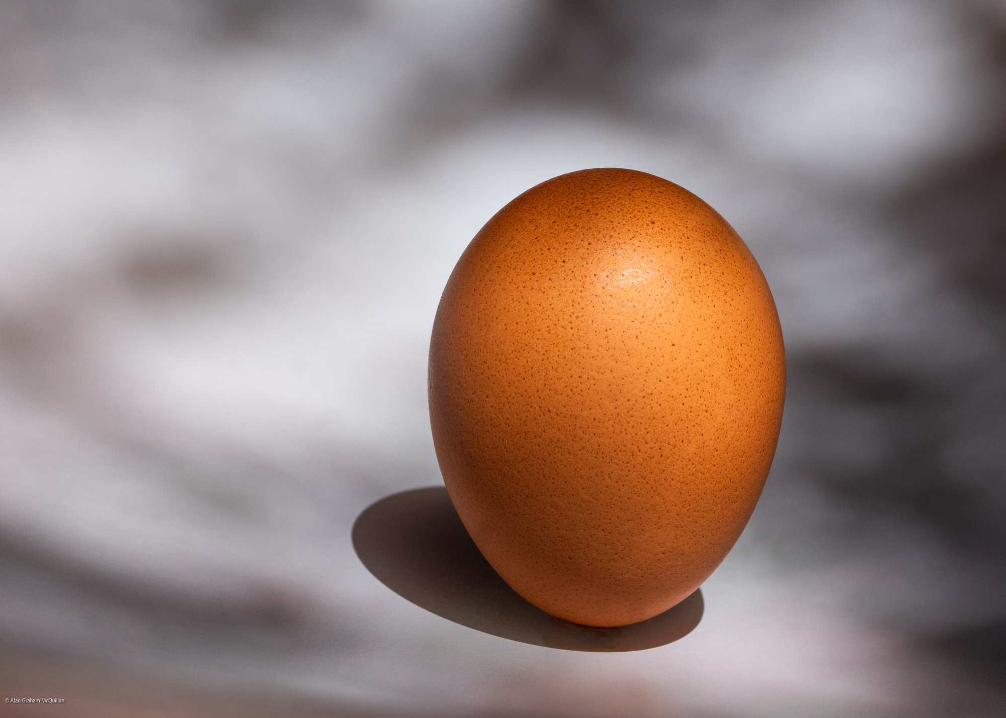 Egg alone, 2025