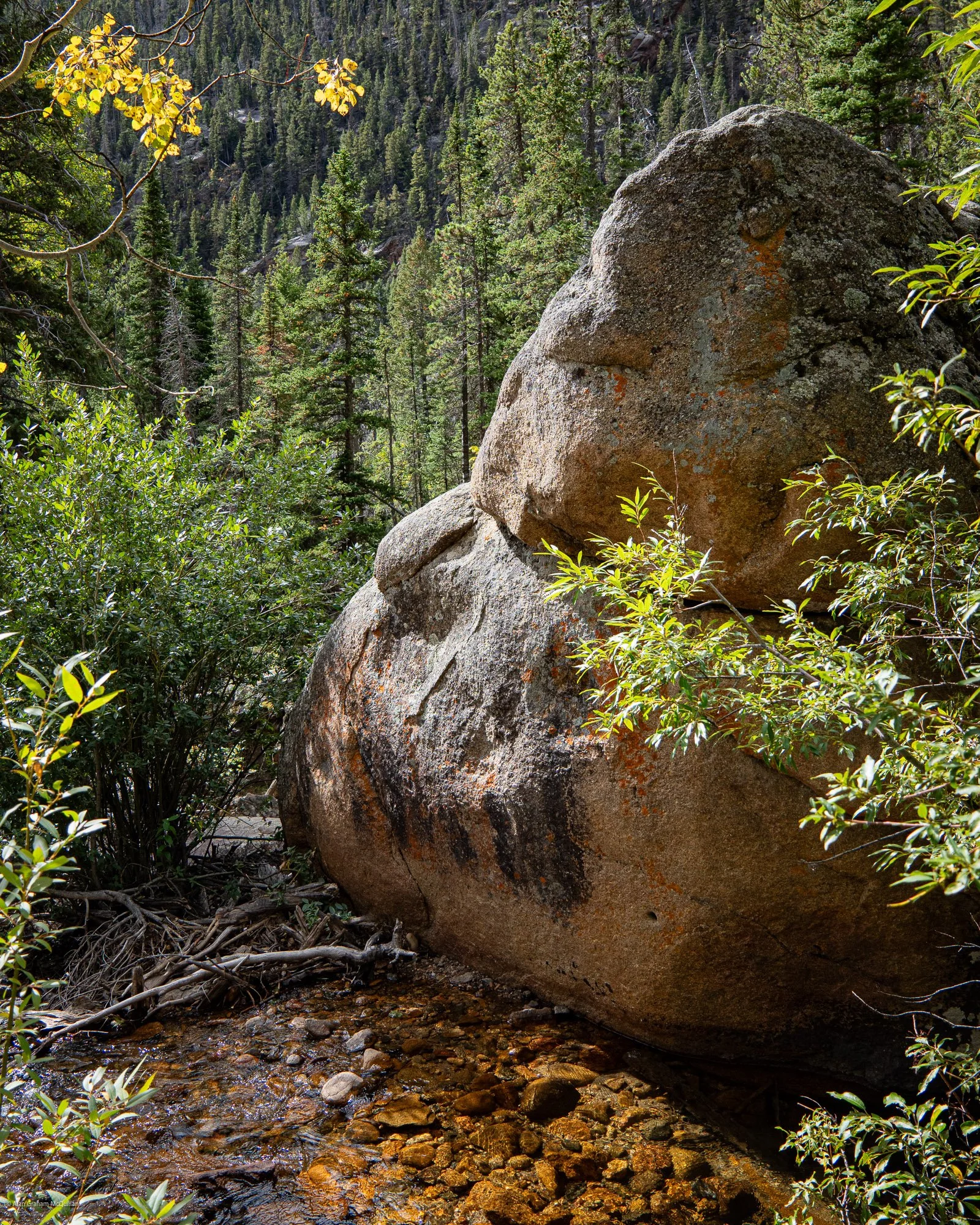 Face in rock, Old Fall River Road, Rocky Mountain National Park, Colorado, 2025