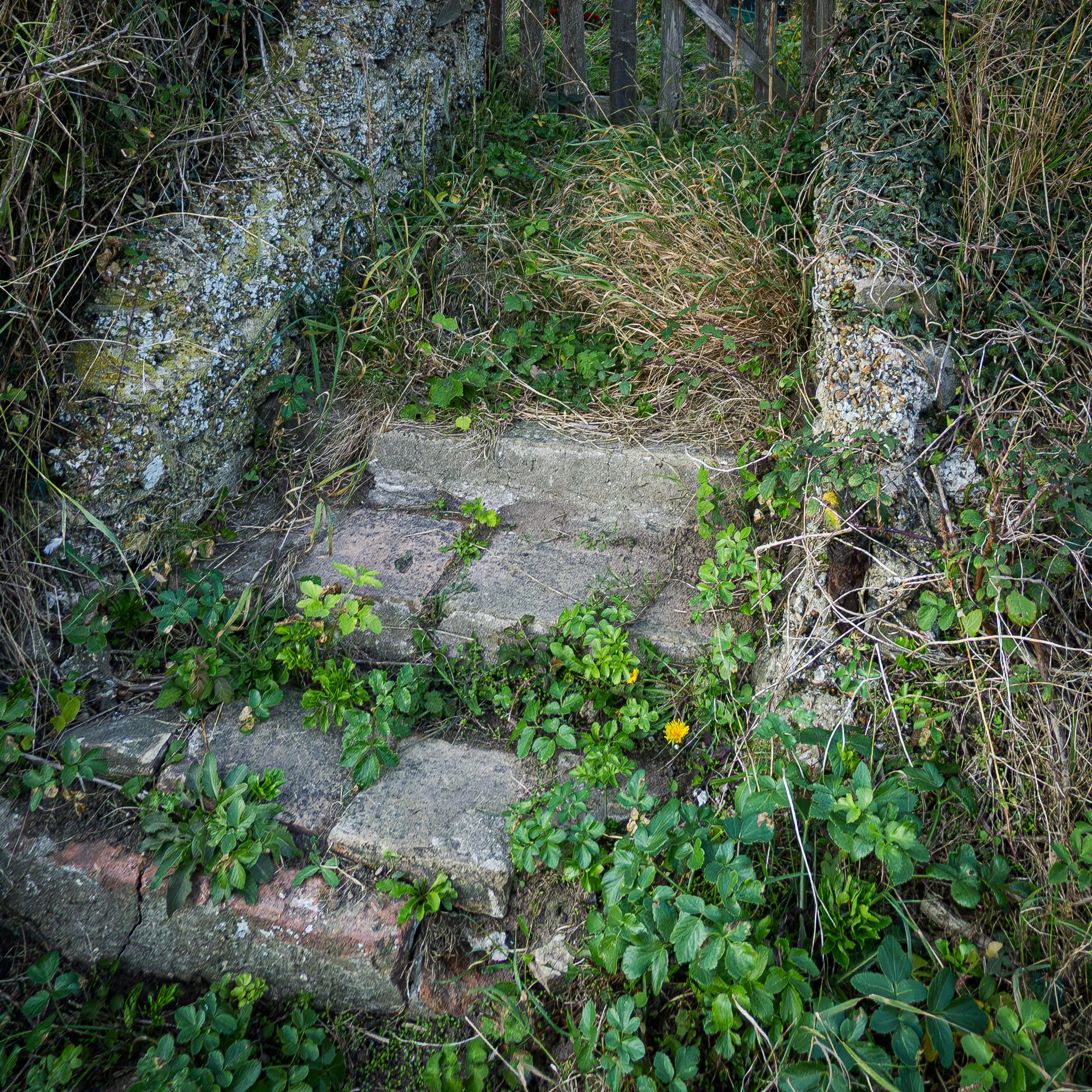 Entropy's Progress (Happisborough, England)