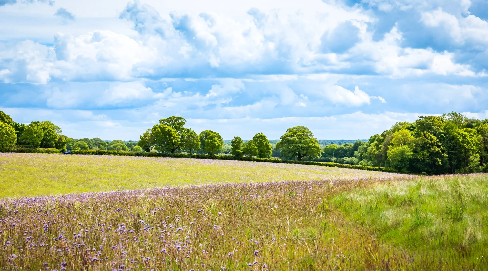 The Lee, Chiltern Hills, Engalnd