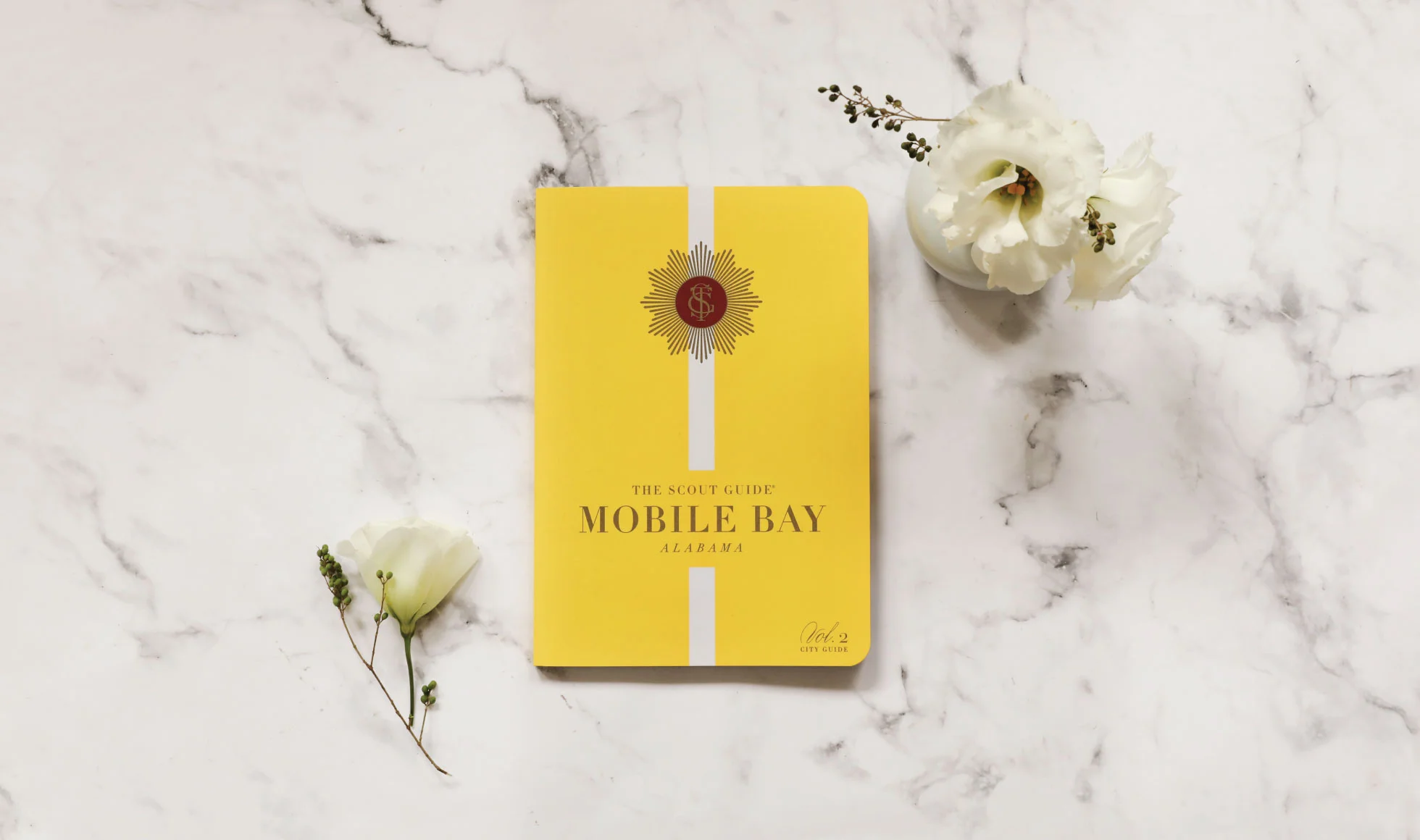 MobileBay_Hero.jpg