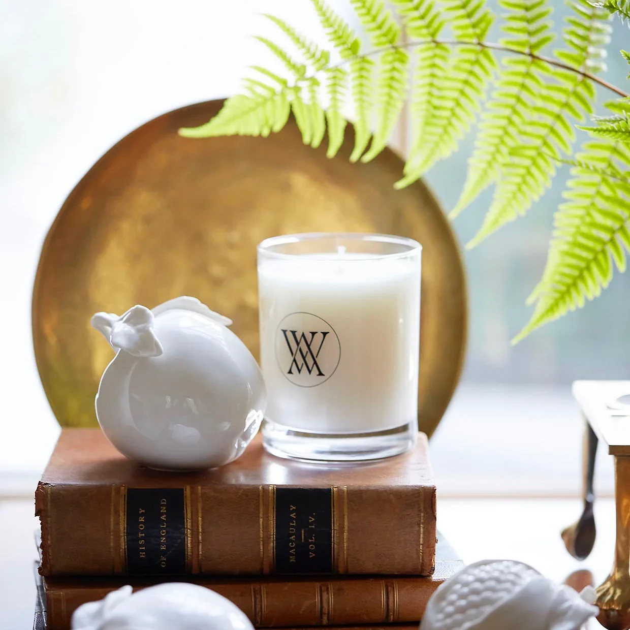 book_with_fern_2_1024x1024@2x.webp