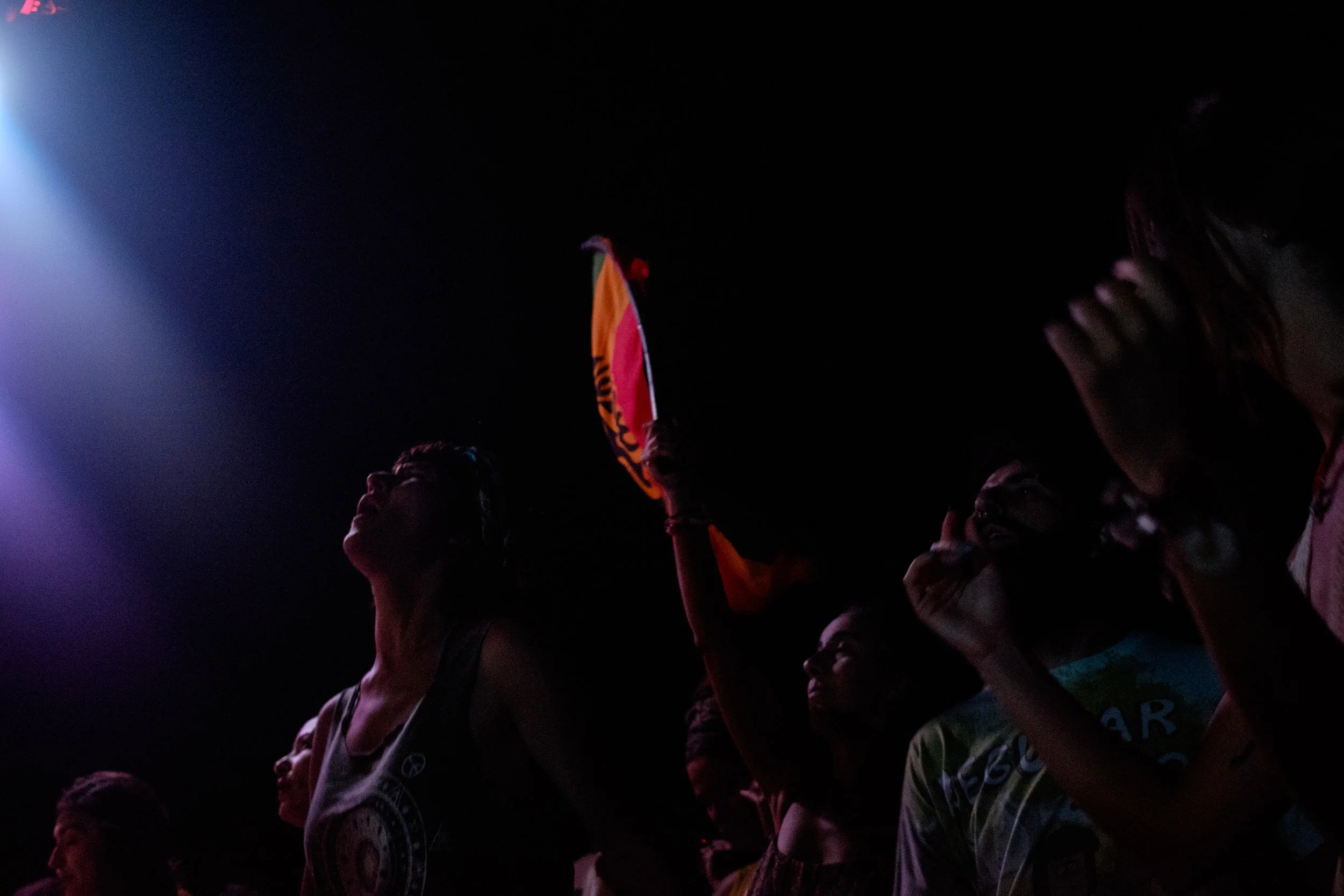 Crowd waving a flag at Ces me Reggae Fest