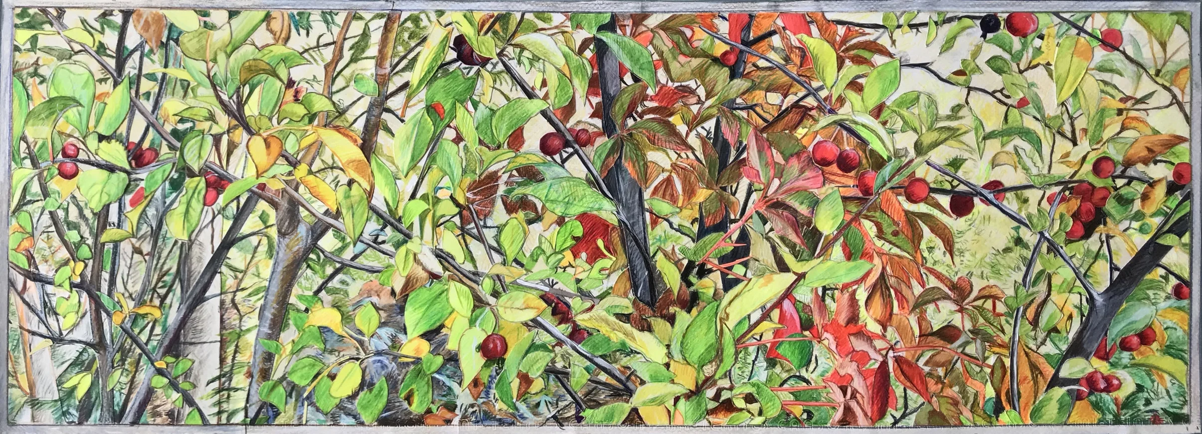 Crabapples Channel Road