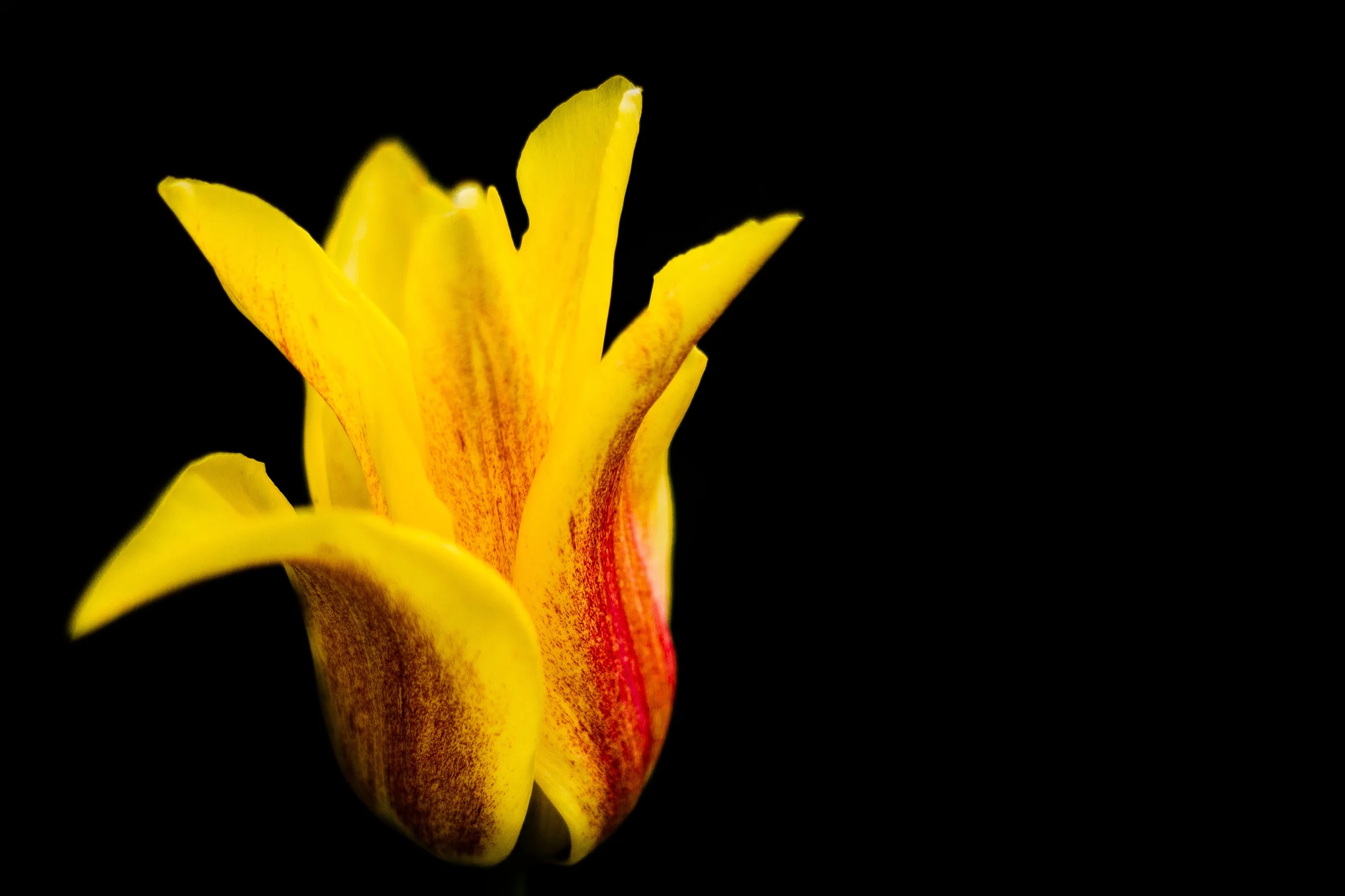 How to Talk to a Grieving Person
