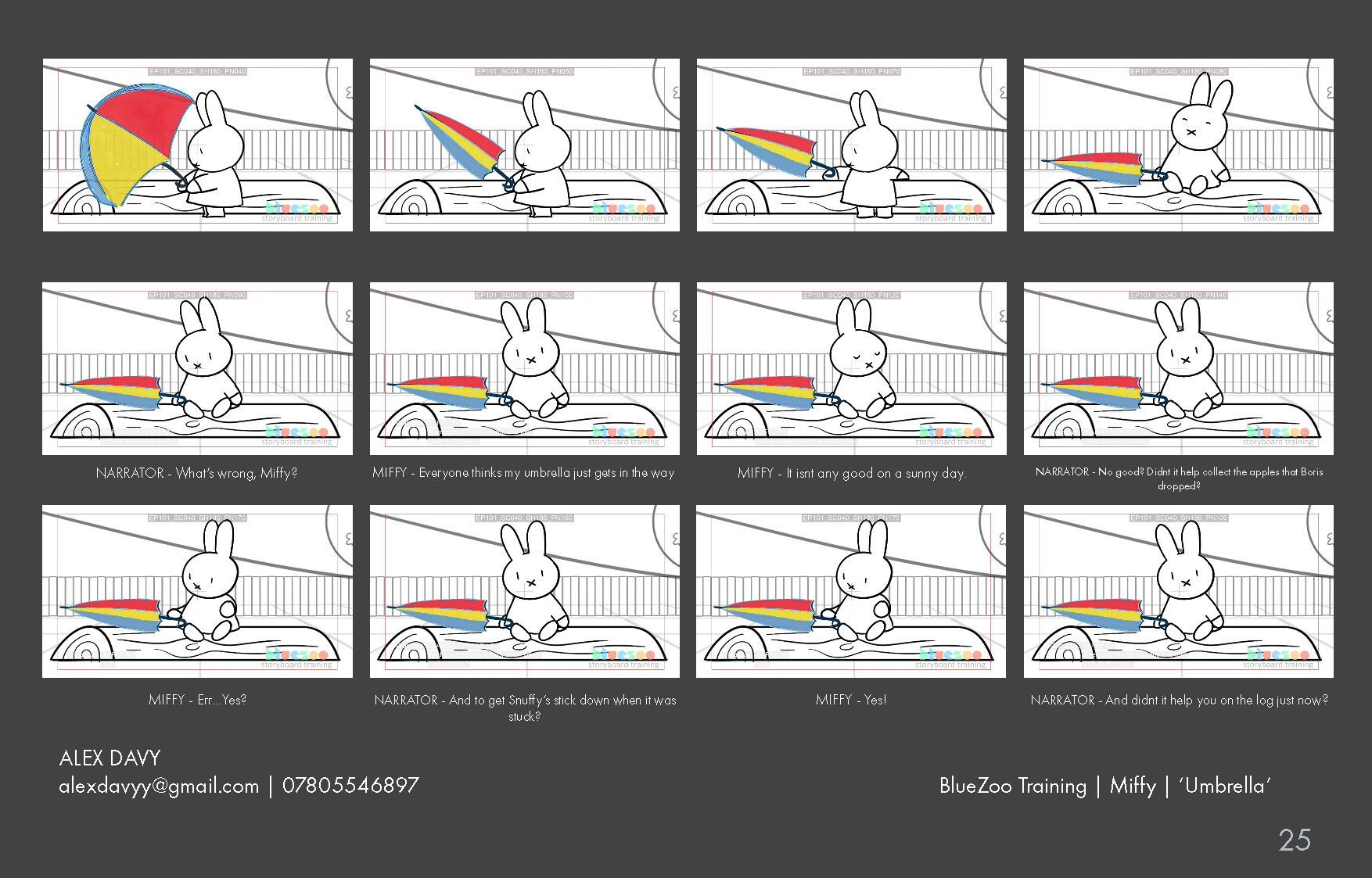 Miffy 25.jpg