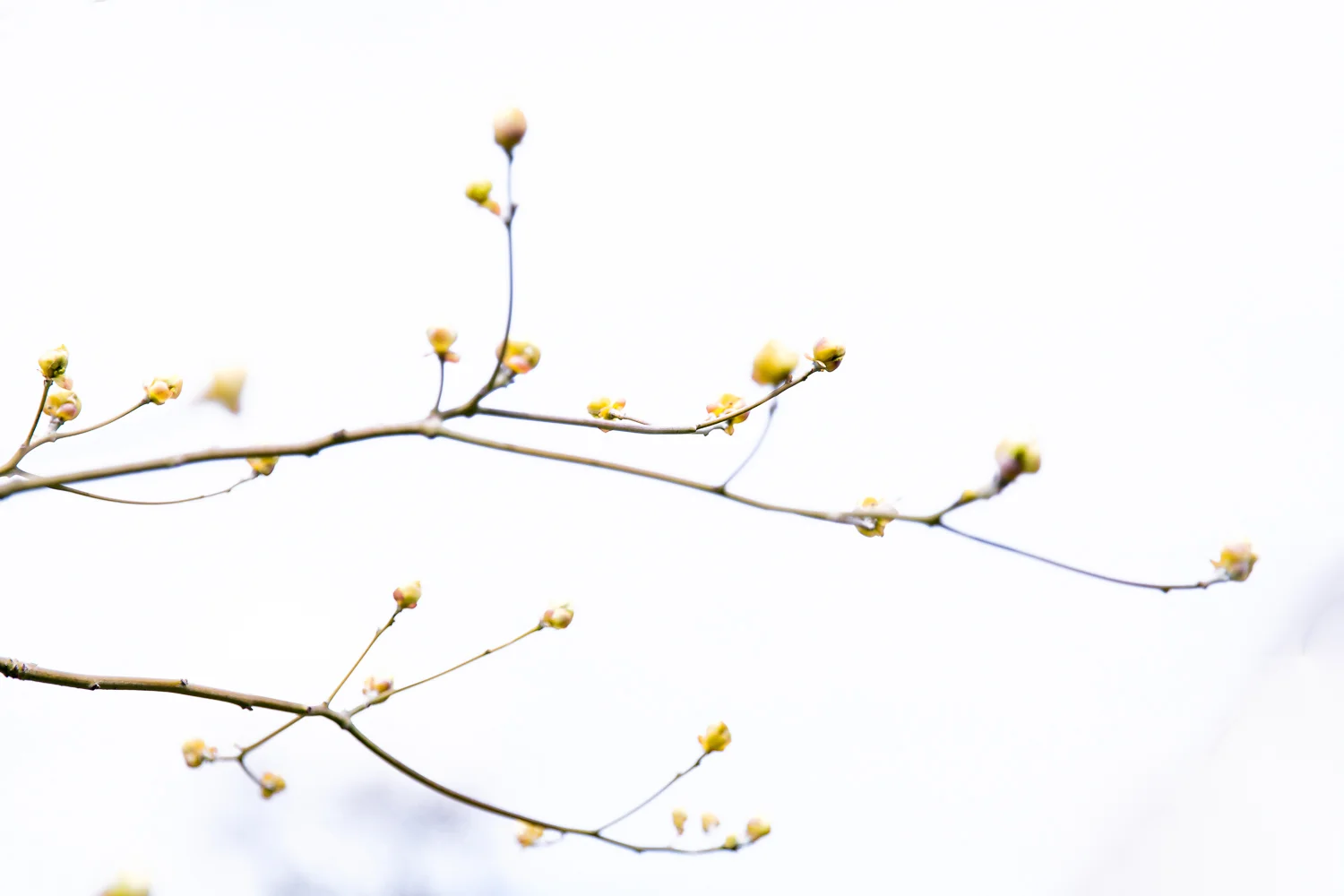 IMG_4304-Edit.jpg