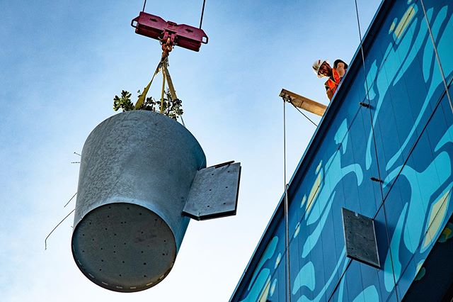 Big action at #treefarmpdx last week... #portland #portlandarchitecture #mural  #containergardening