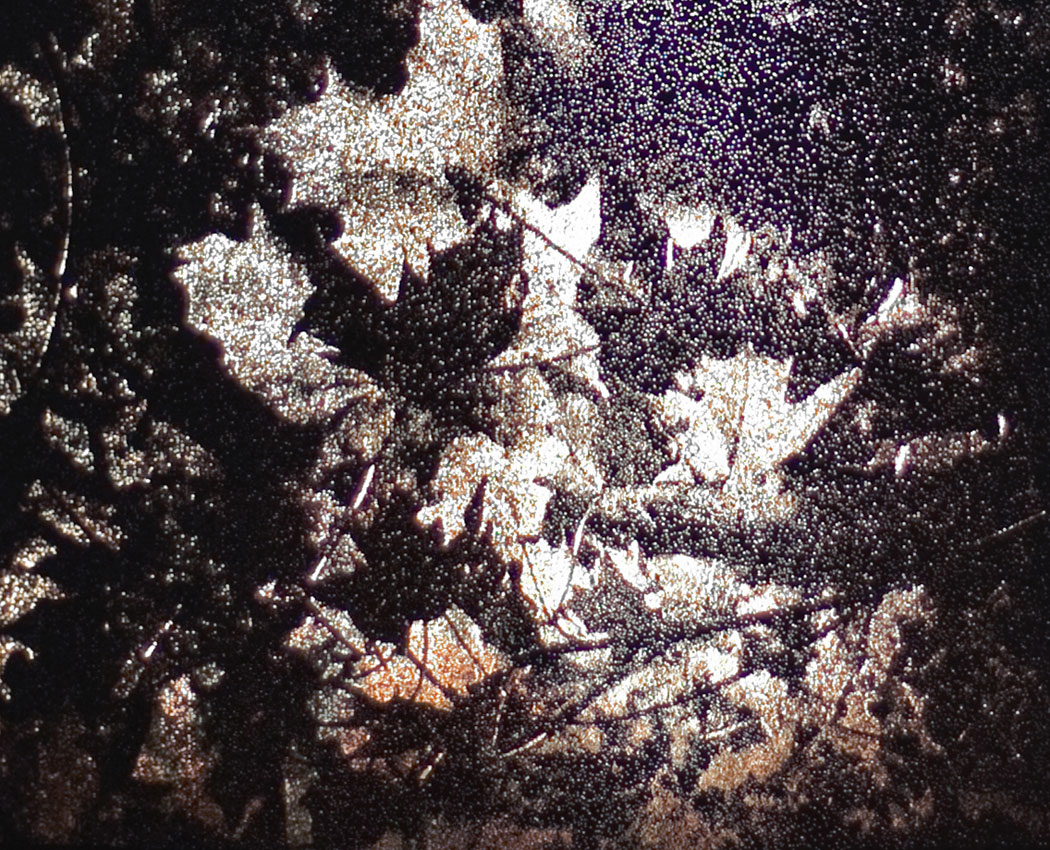 leaves_finalcloseup.jpg