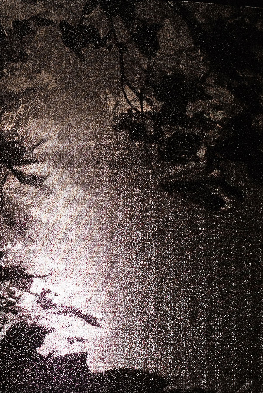 lookingthoughleaves.jpg