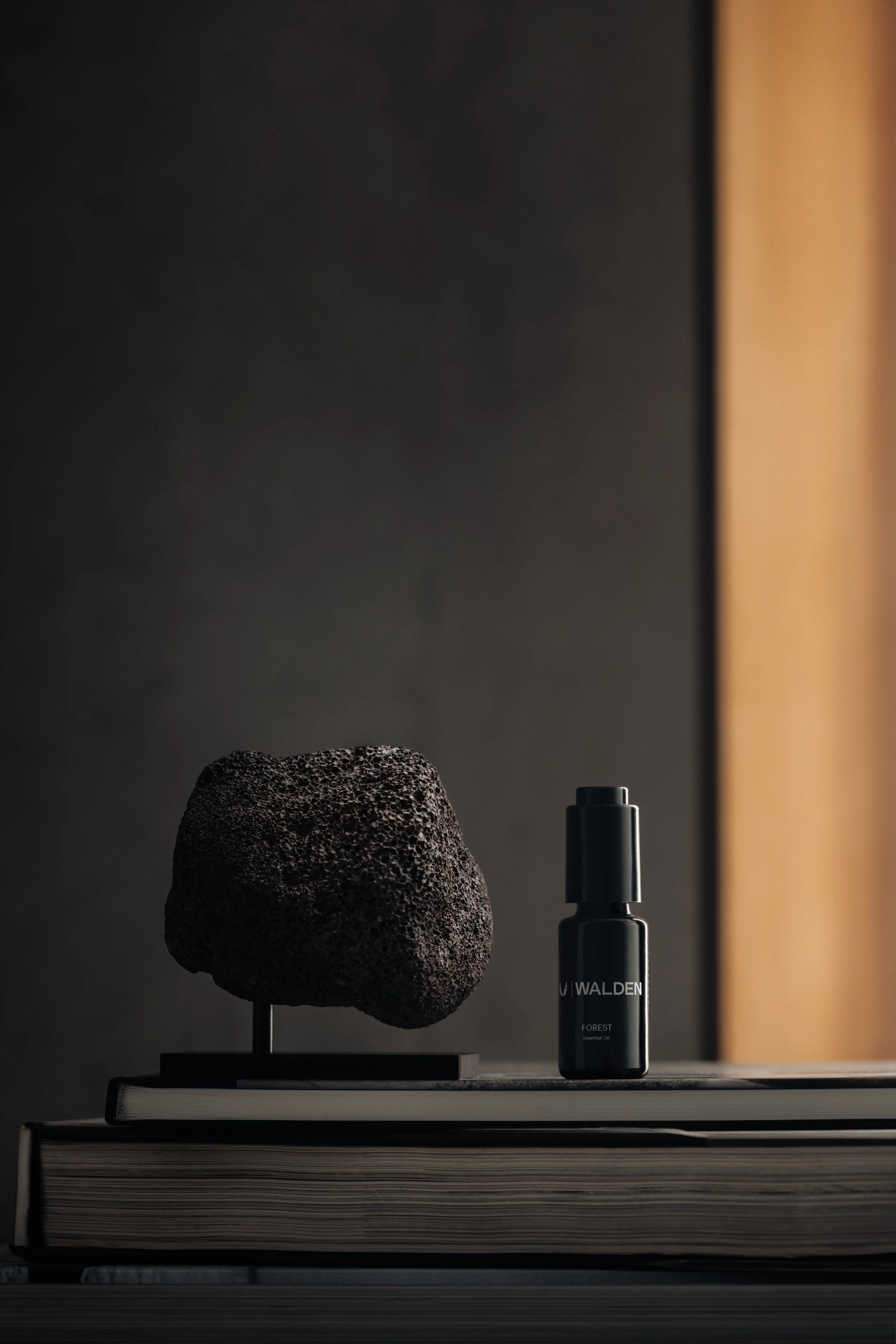 Walden x ASRV-2.JPEG