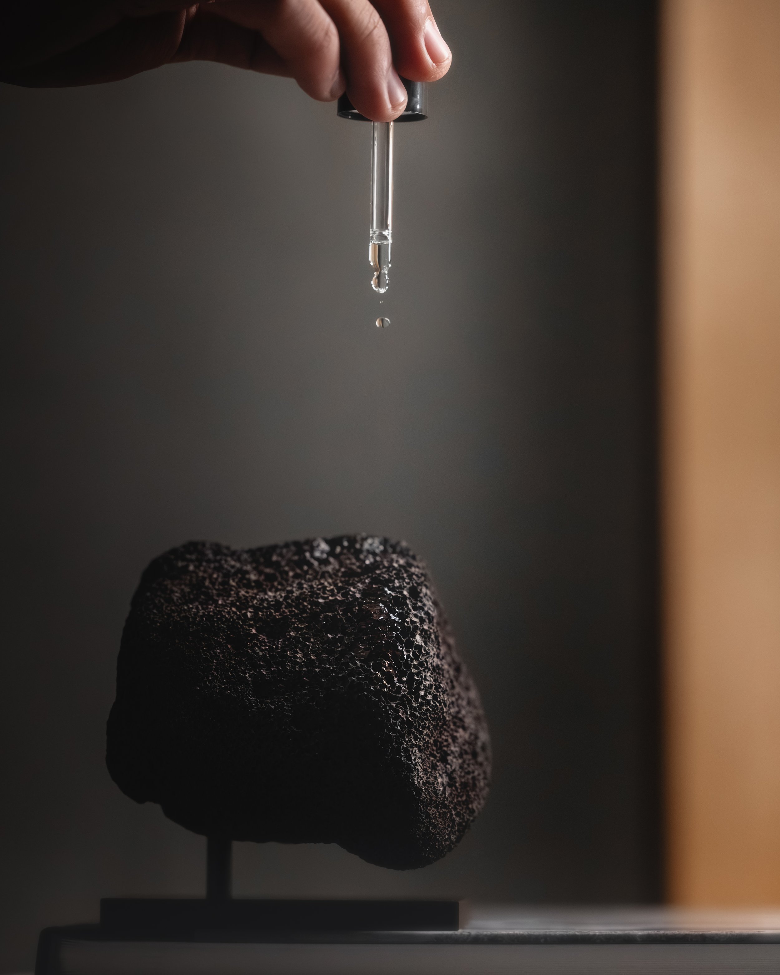 Walden x ASRV-18.JPEG