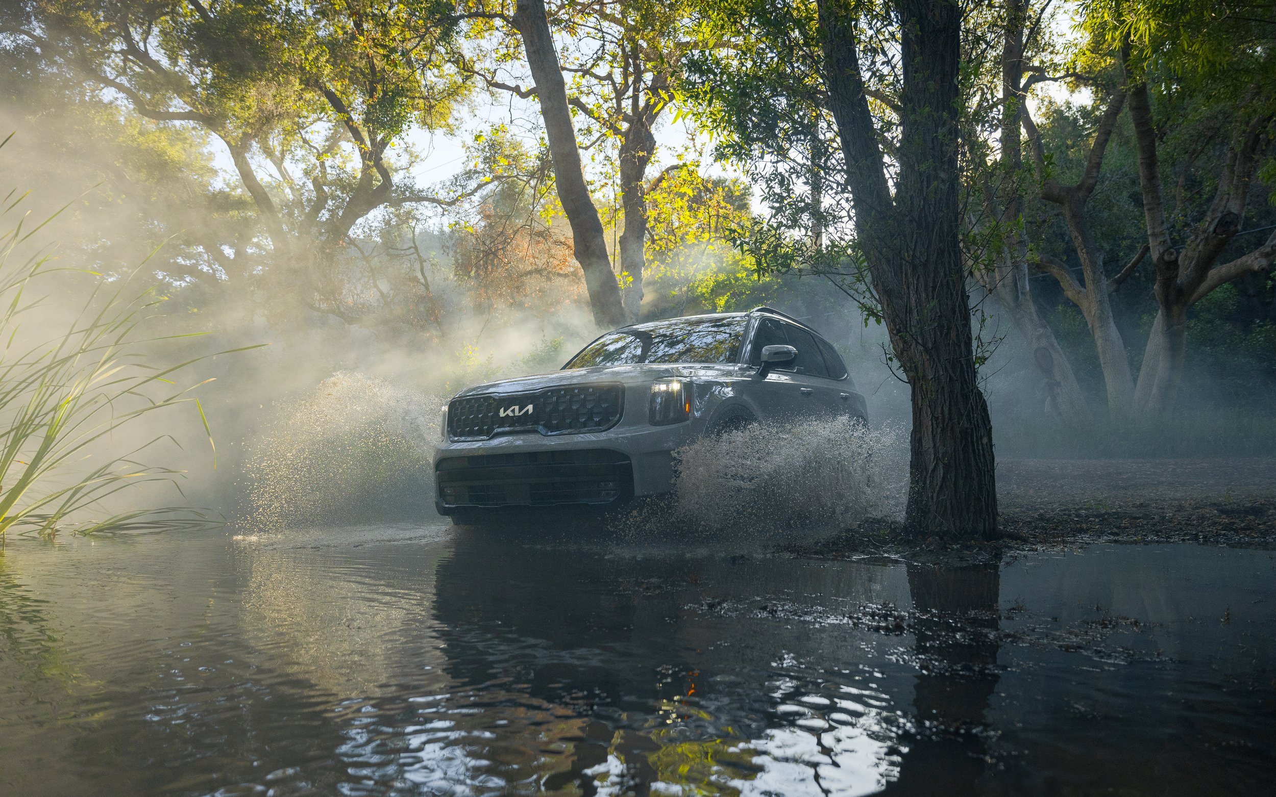 KIA-6.jpg