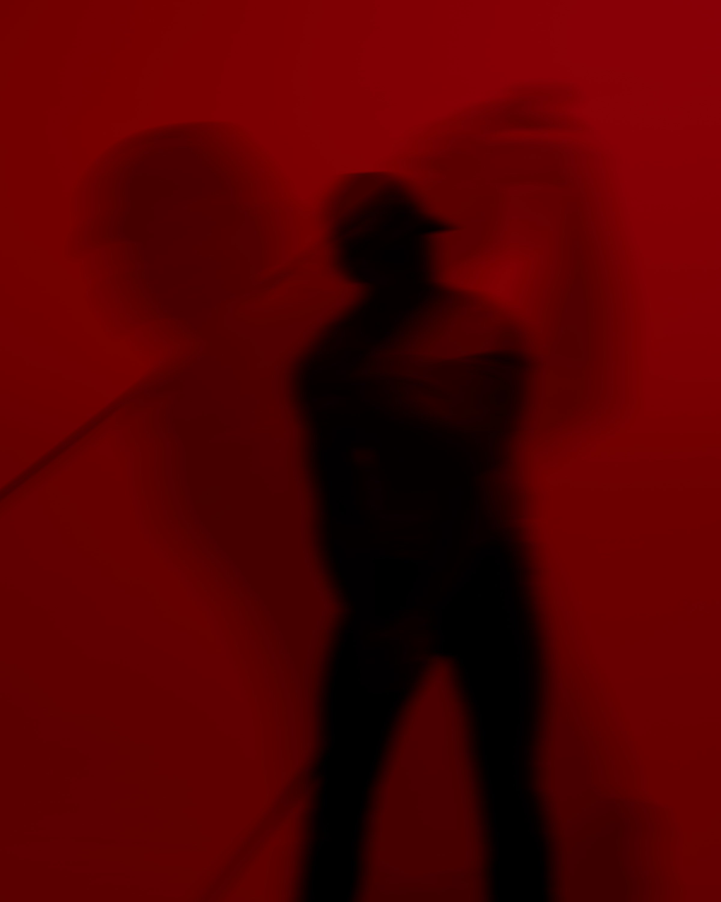 SDR Studio-11 2.JPEG