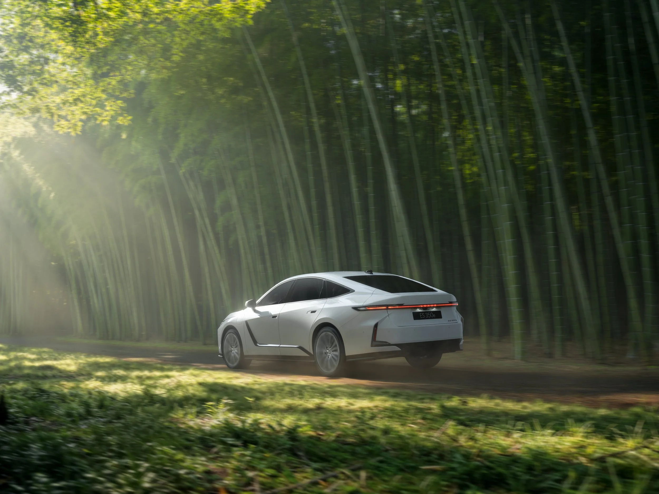 Japan Lexus-2.jpg