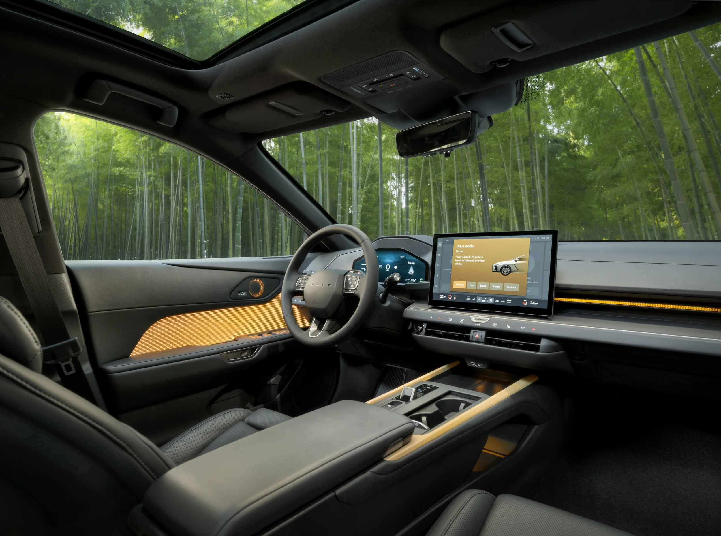 Japan Lexus-1.jpg