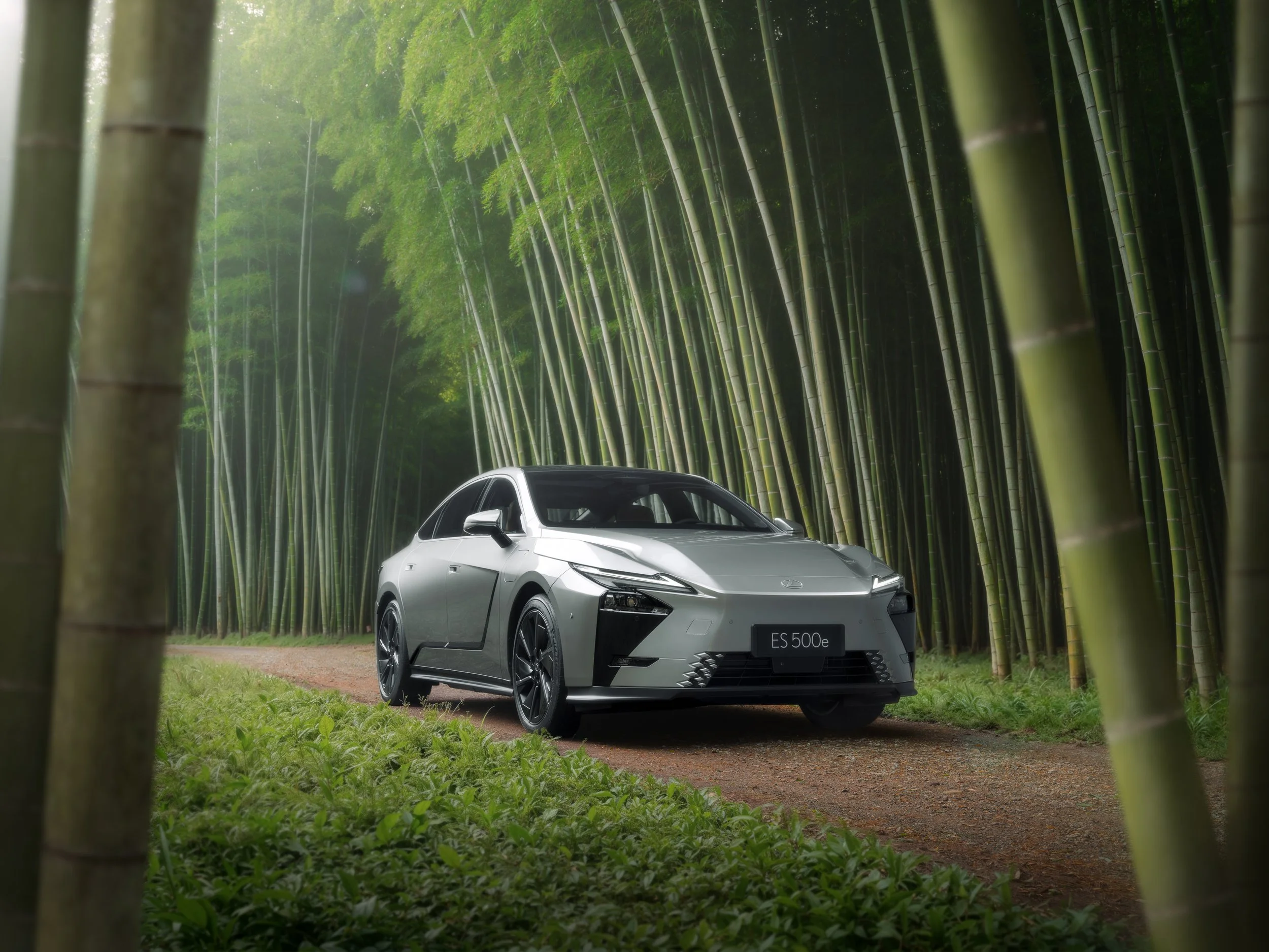 Japan Lexus-3.jpg
