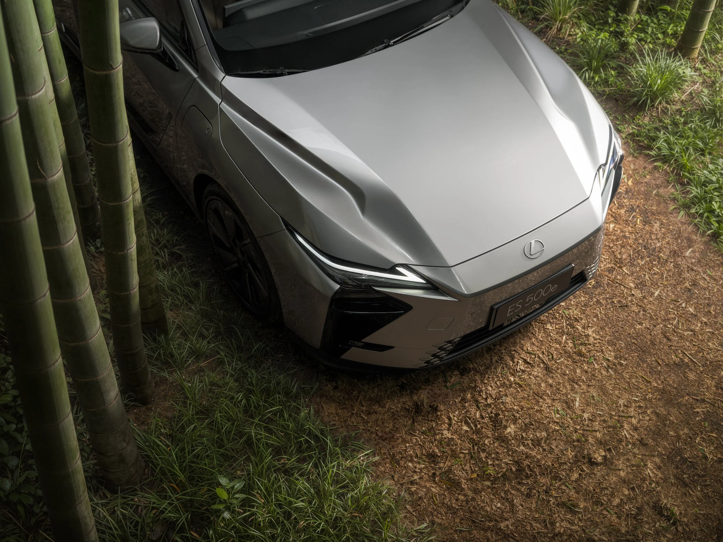 Japan Lexus-4.jpg