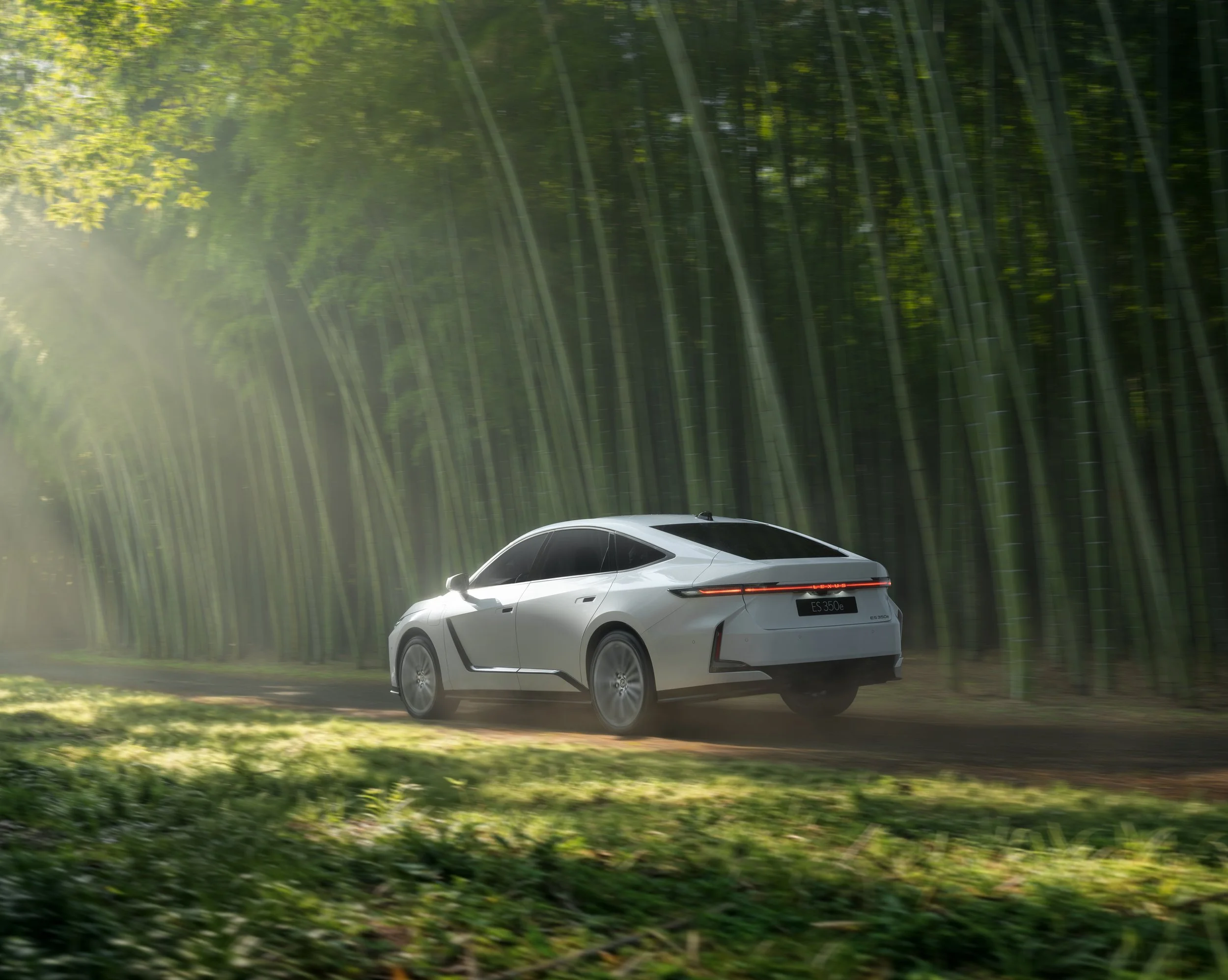 Japan Lexus-8.jpg