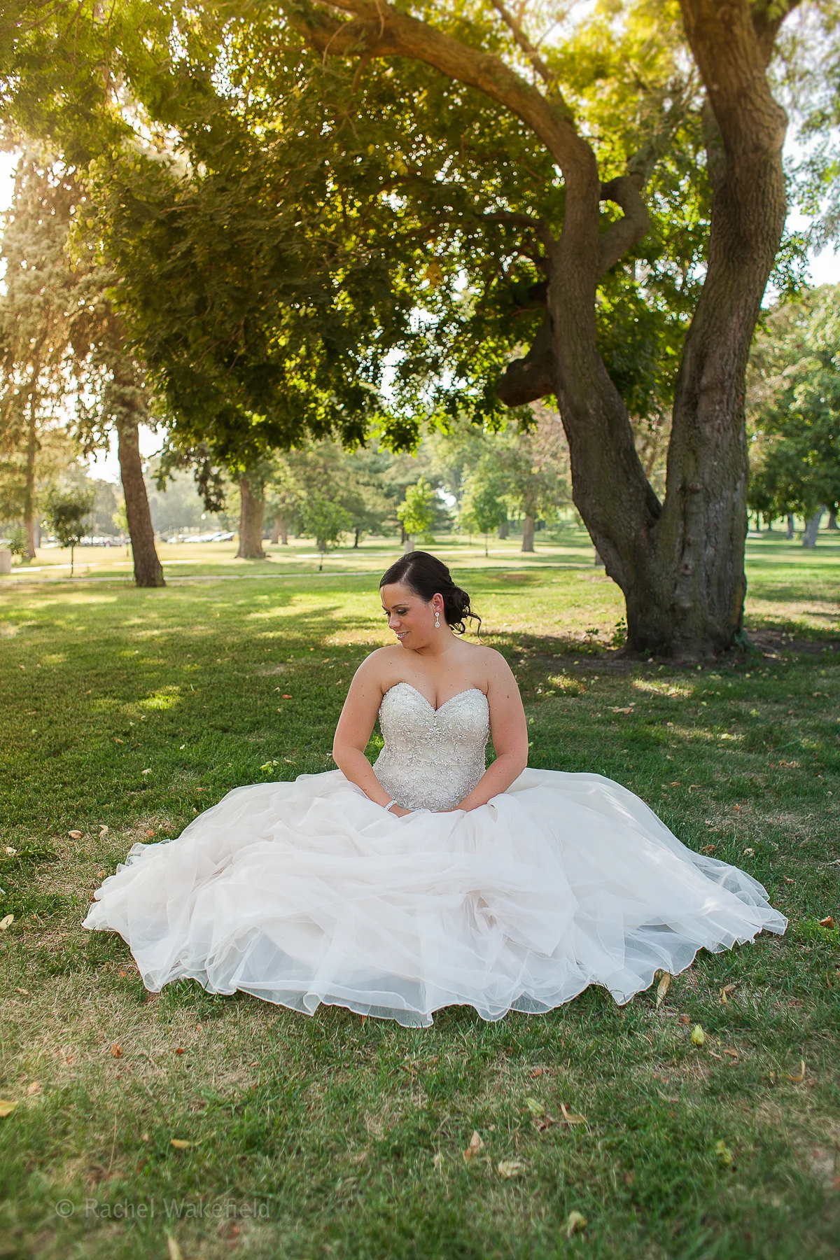 Rachel Wakefield Photography