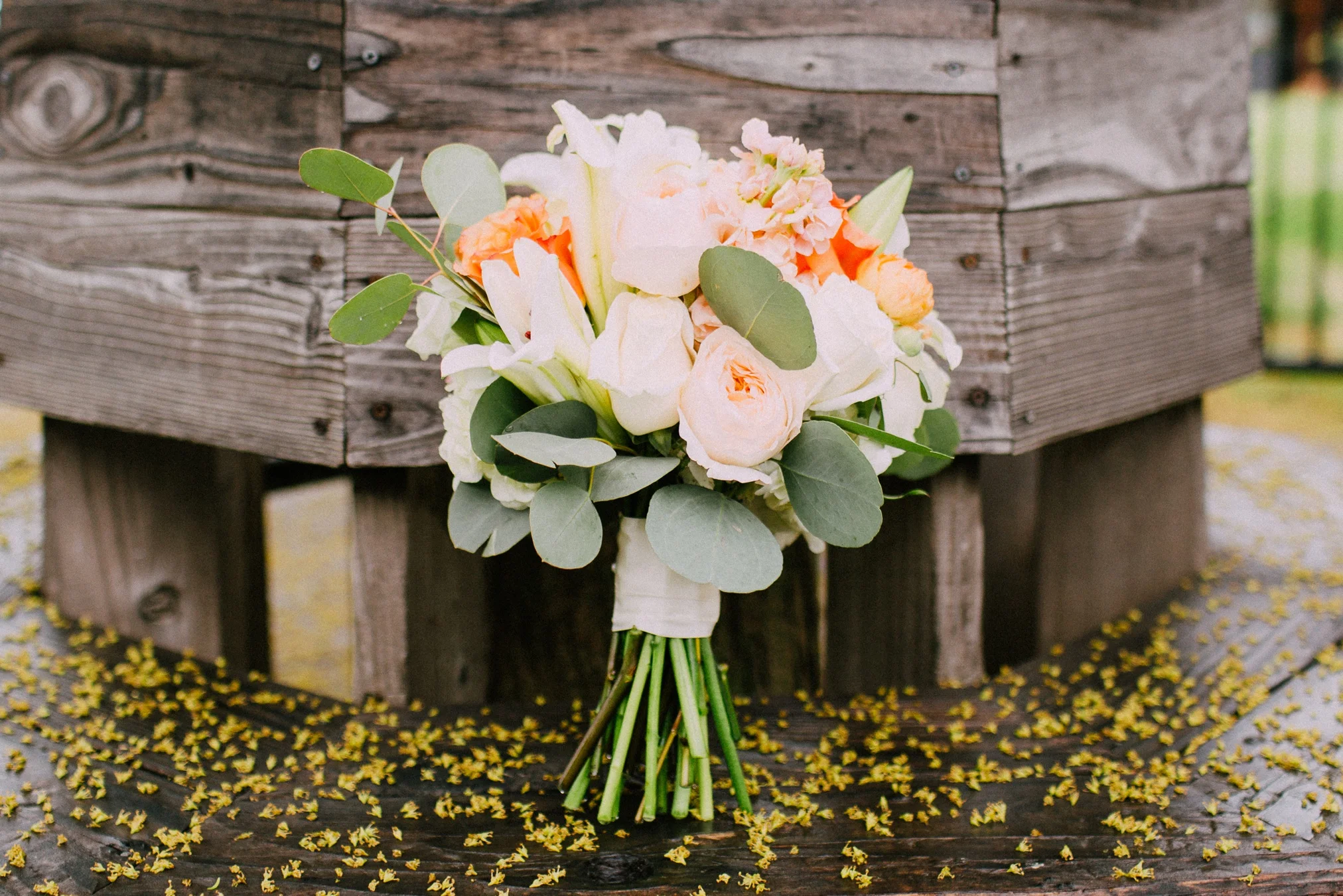 schmid_wedding-2.jpg