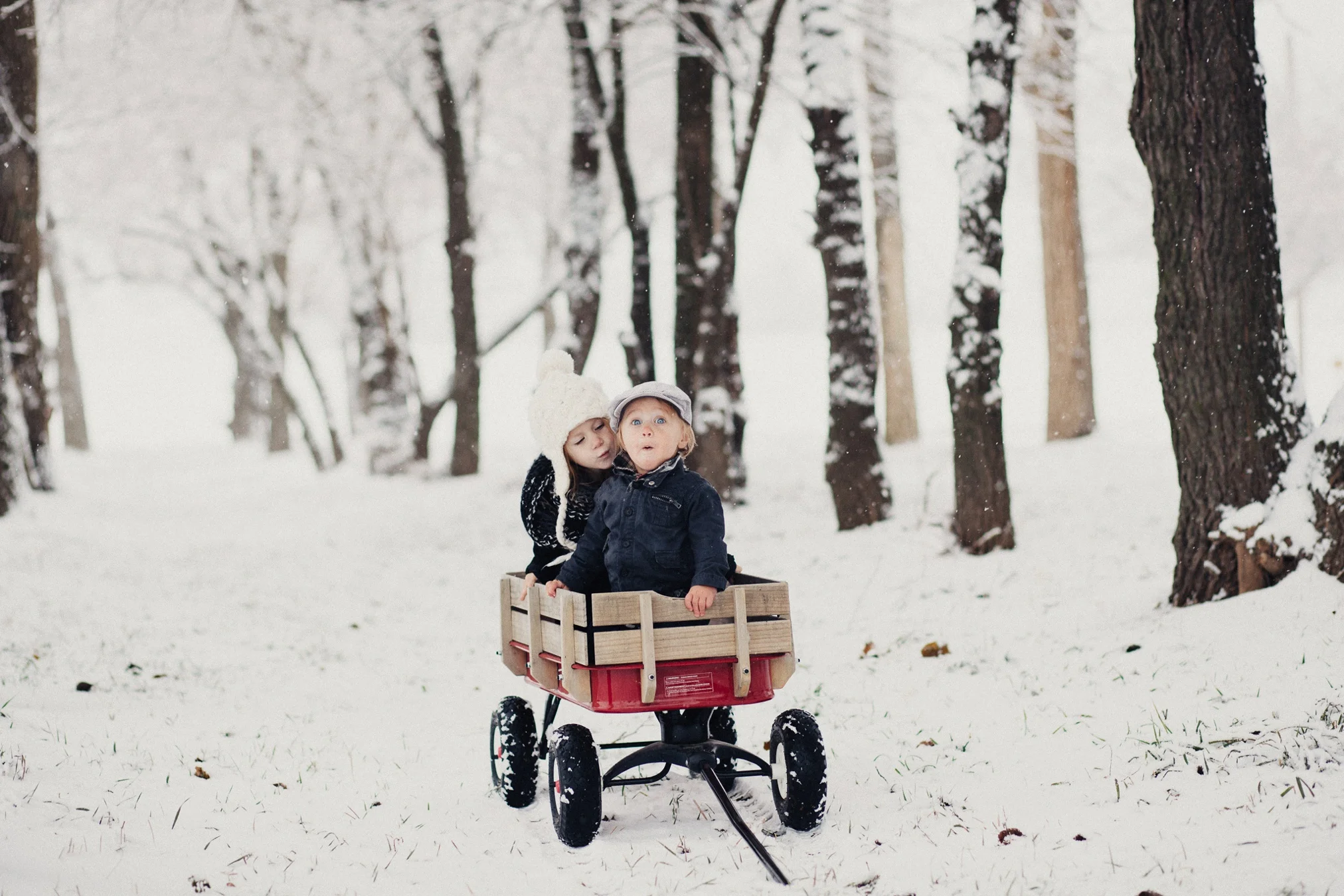 Zoe_Cohen_Snow_2015_web-10.jpg