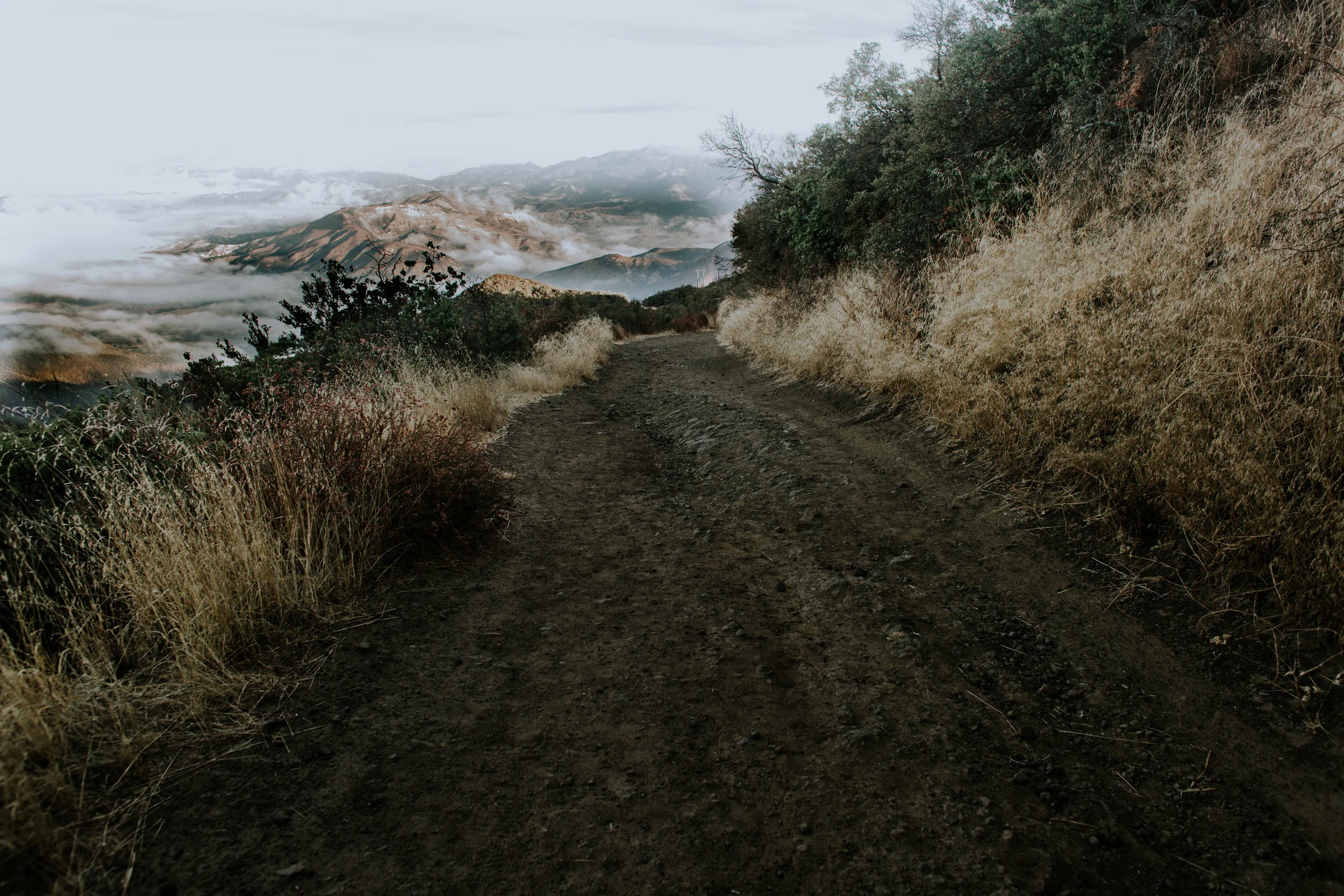 Personal Work | KNAPPS CASTLE SANTA BARBARA CALIFORNIA