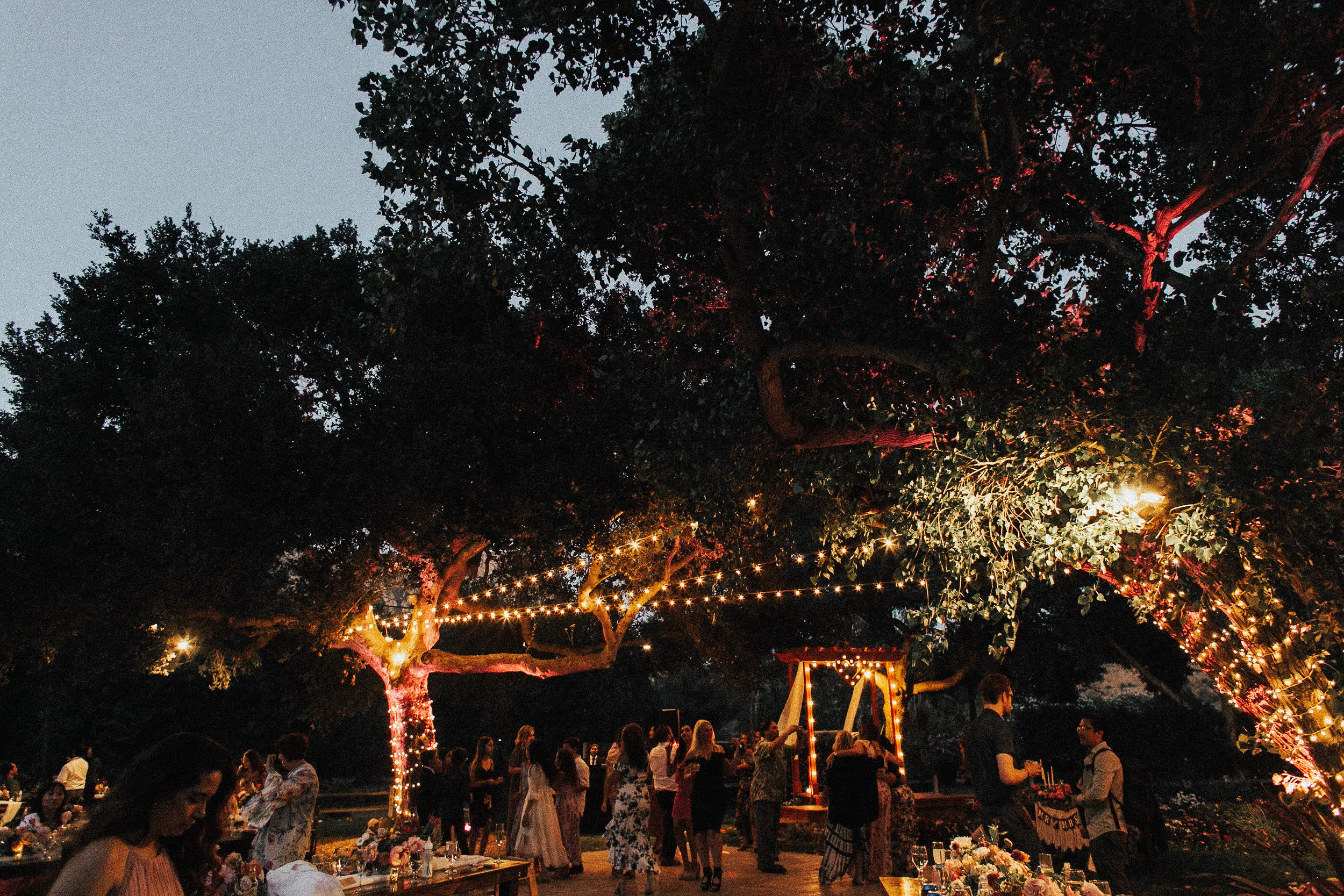 UnconventionalWeddingPhotographerSoCalOrangeCountyJacellexCaseyBohoWeddingatHazyMeadowsRanchLakeside,CA(612of652).jpg