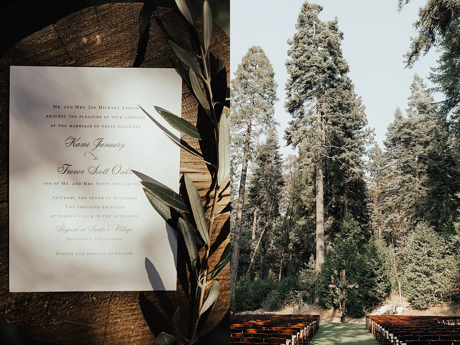 TrevorOaksandKamiTroeshWeddingSkyParkWeddingsCaliforniaPhotographerRachelWakefield-3.jpg
