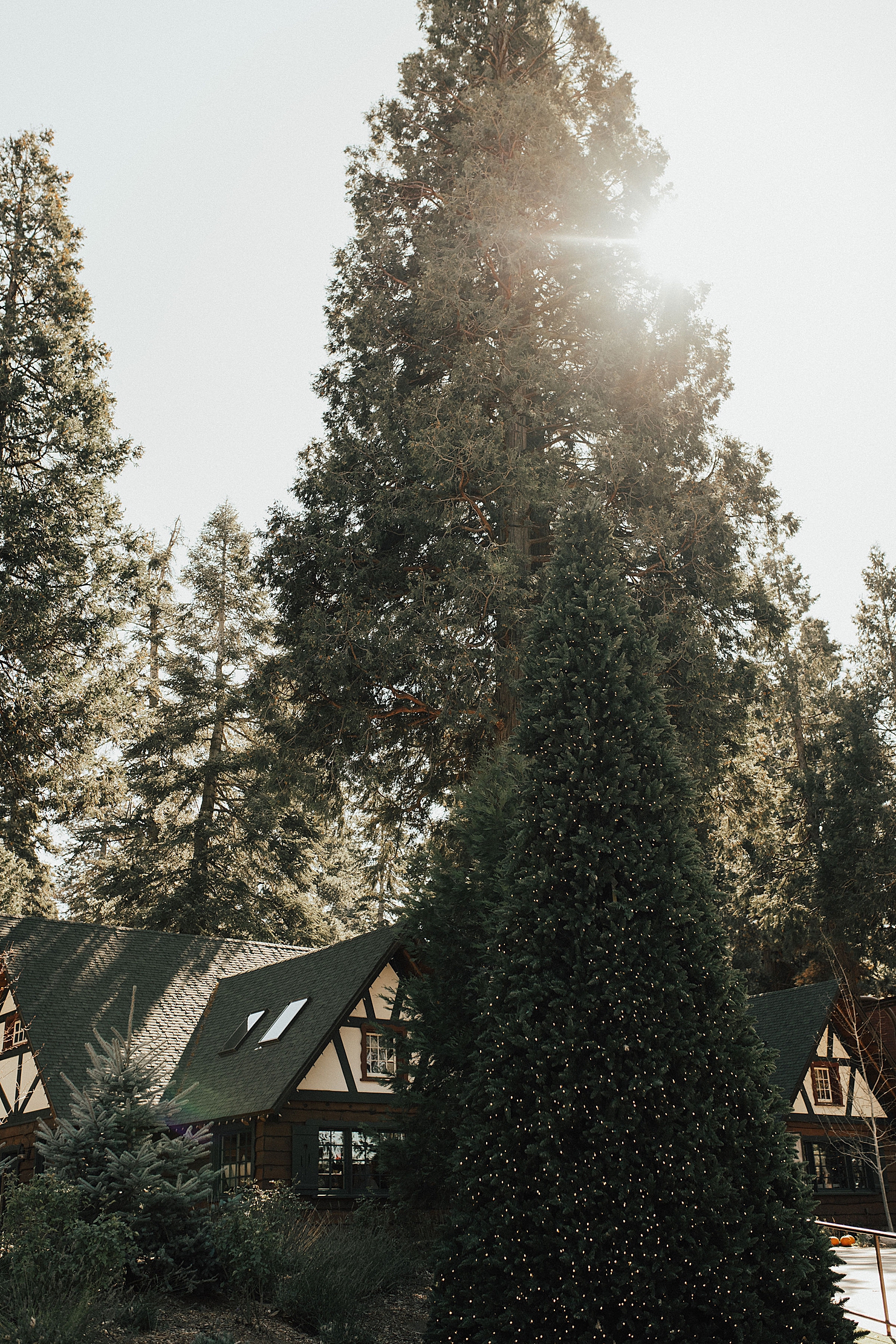TrevorOaksandKamiTroeshWeddingSkyParkWeddingsCaliforniaPhotographerRachelWakefield-69.jpg