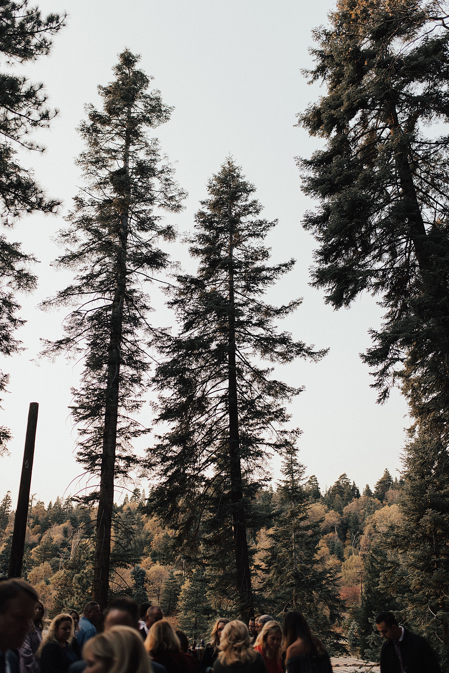 TrevorOaksandKamiTroeshWeddingSkyParkWeddingsCaliforniaPhotographerRachelWakefield-825.jpg