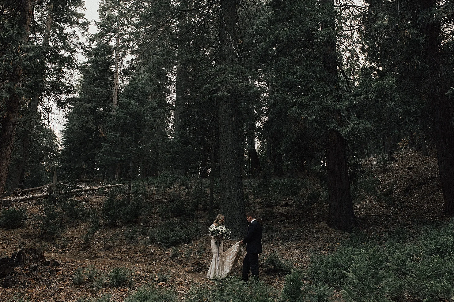 Los Angeles National Forest Wedding 