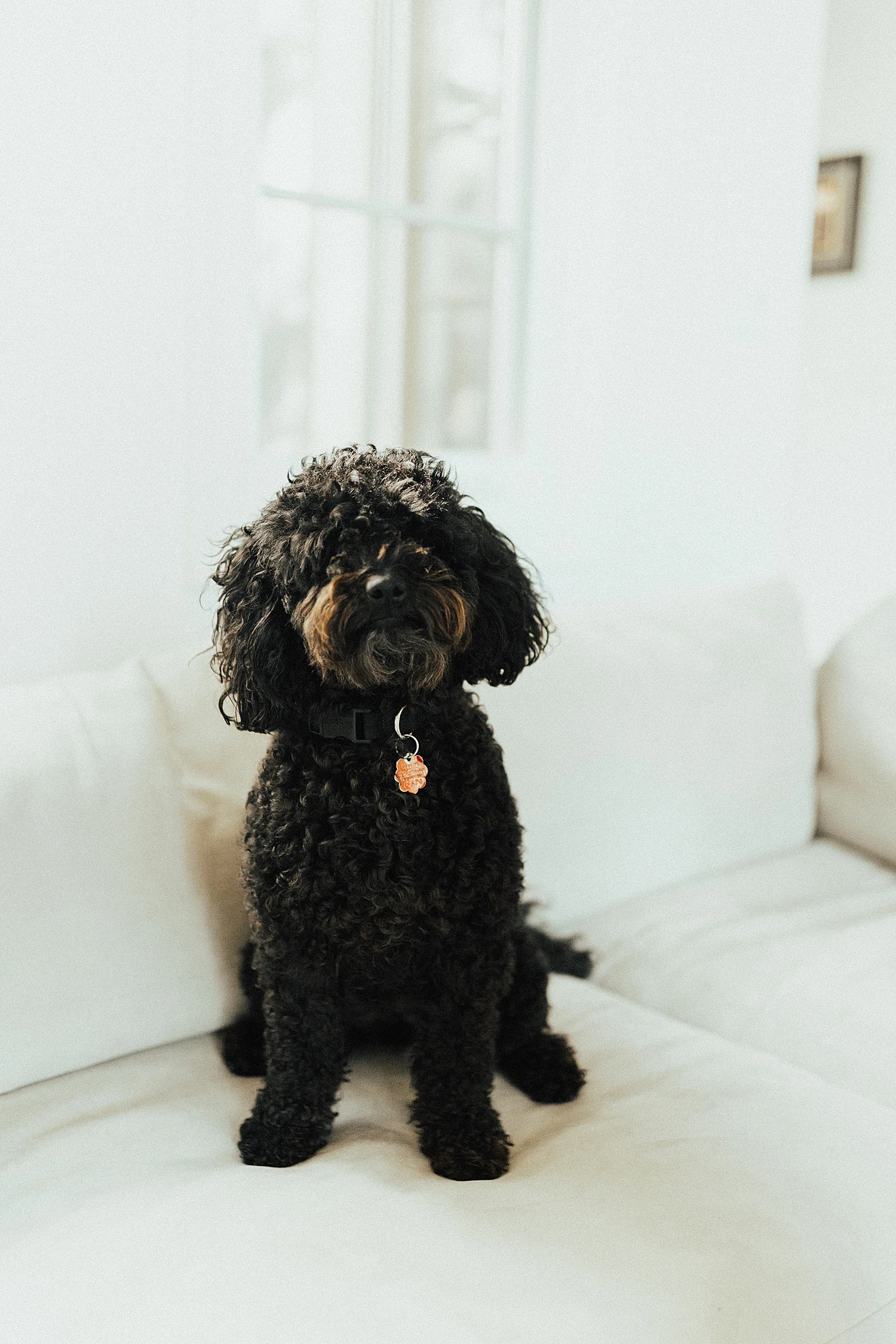 ChristineCainePhotographerRachelWakefieldOrangeCountyLifestylePhotographer-115.jpg