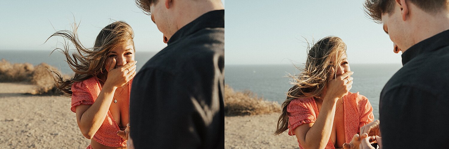 Surprise Proposal Point Dume Malibu Couples Photographer Rachel Wakefield Blog-25.jpg
