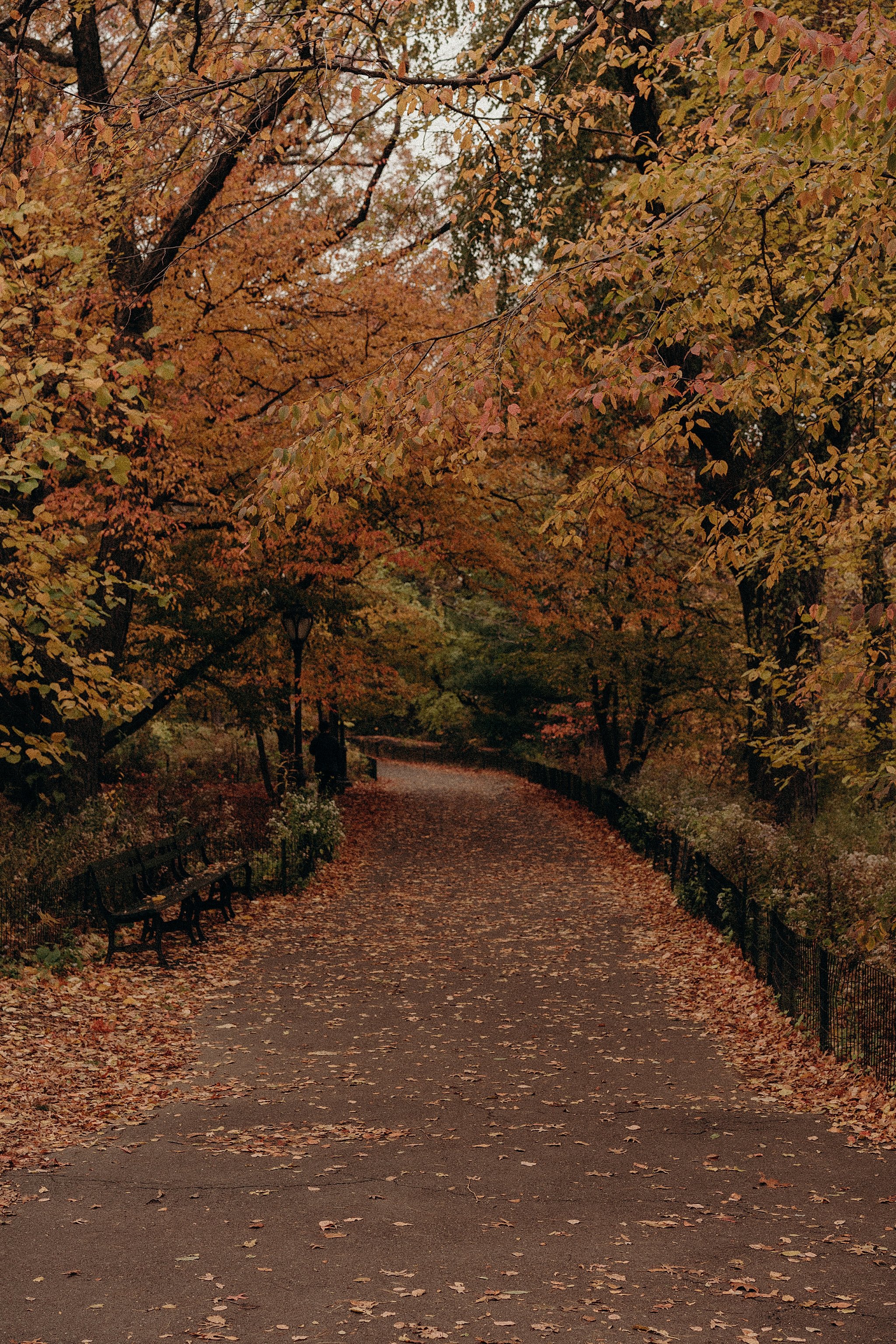 Top Manhattan Brand Photographer Central Park.jpg