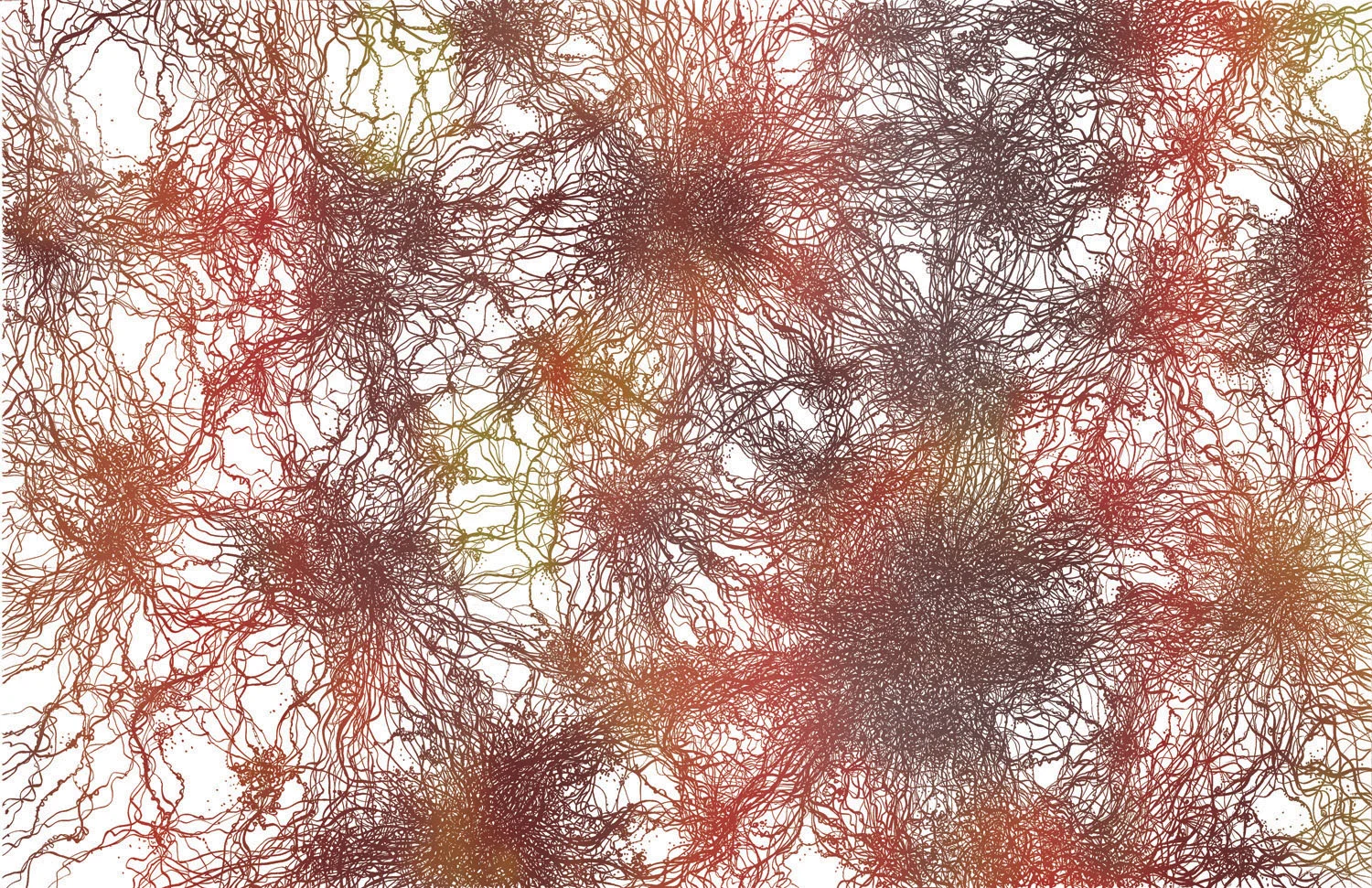 Complexity Map Illustration