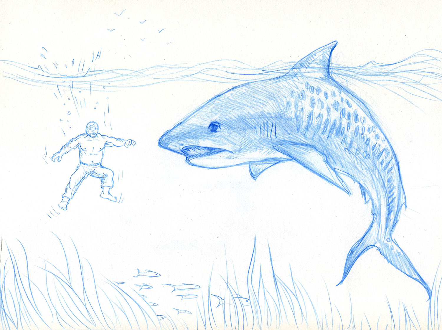 Pencil Sketch