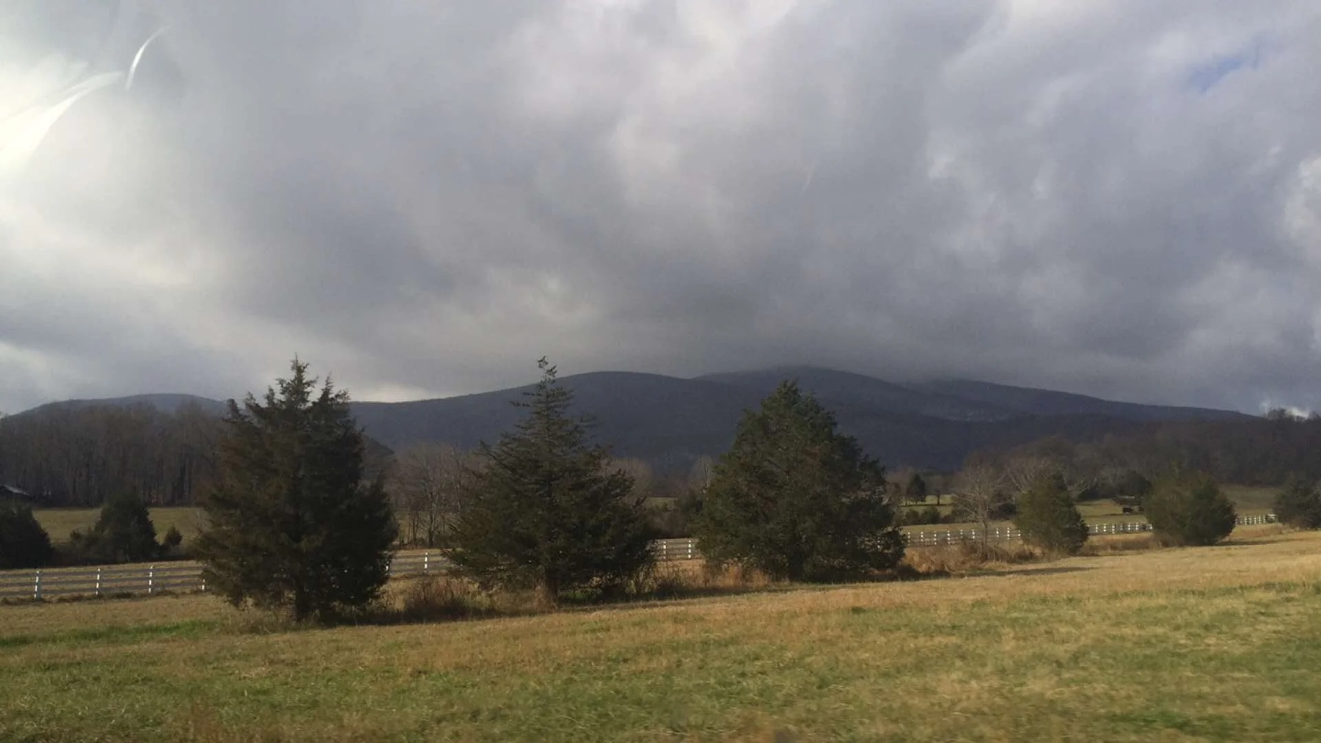 Photo Jan 04, 11 35 40 PM.jpg