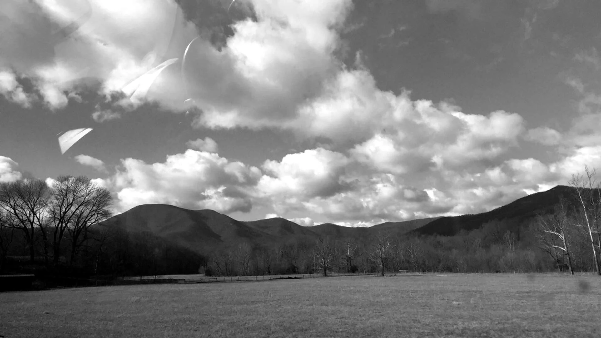 Photo Jan 05, 10 48 37 AM.jpg