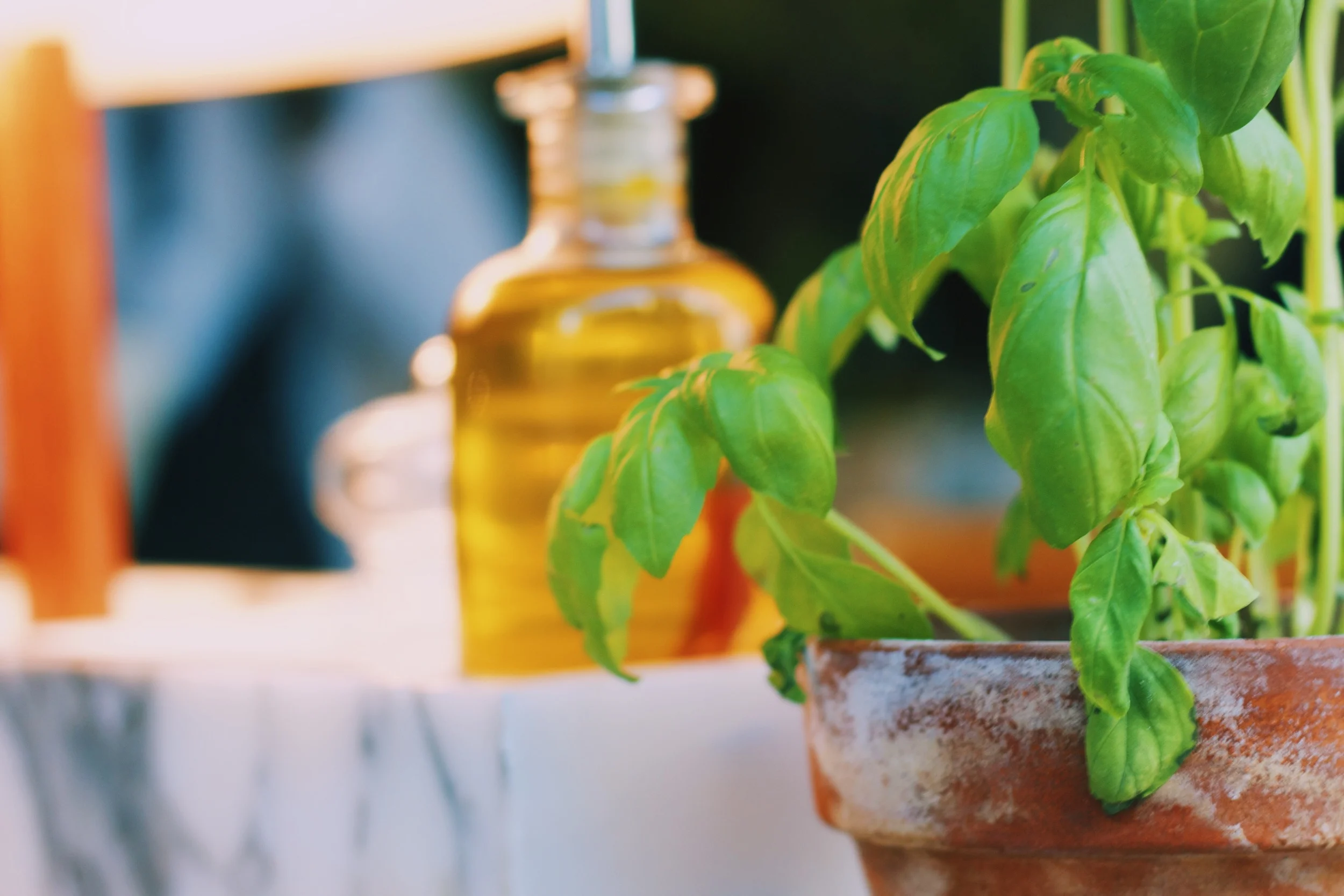 Photo Feb 06, 4 04 31 AM.jpg