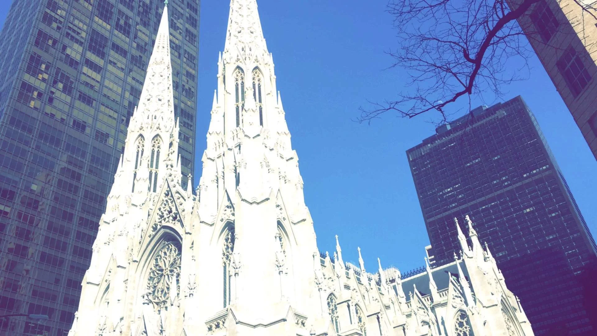 Photo Apr 15, 11 17 54 AM.jpg