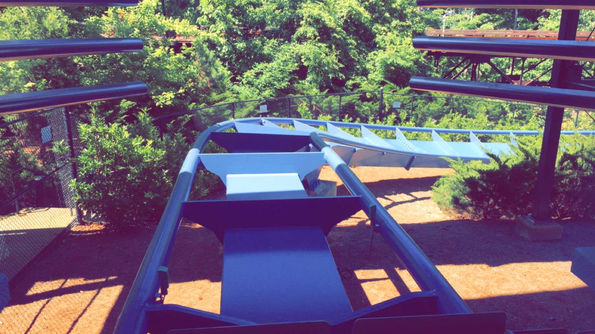 Photo May 29, 8 37 03 AM.jpg