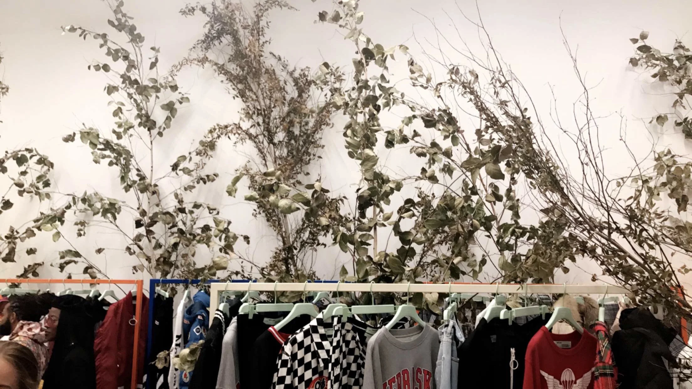 Photo Sep 09, 7 12 47 PM.jpg