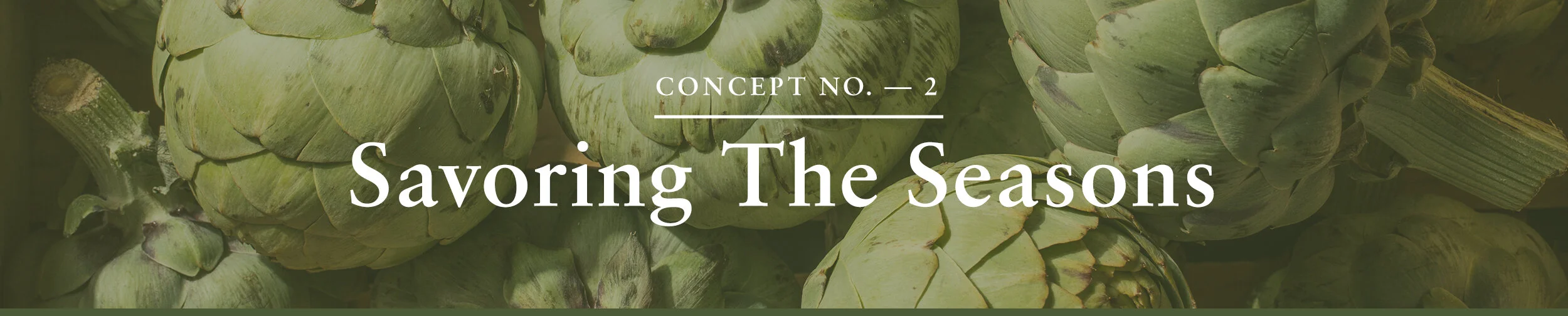 Veg_Concept2_Banner.jpg