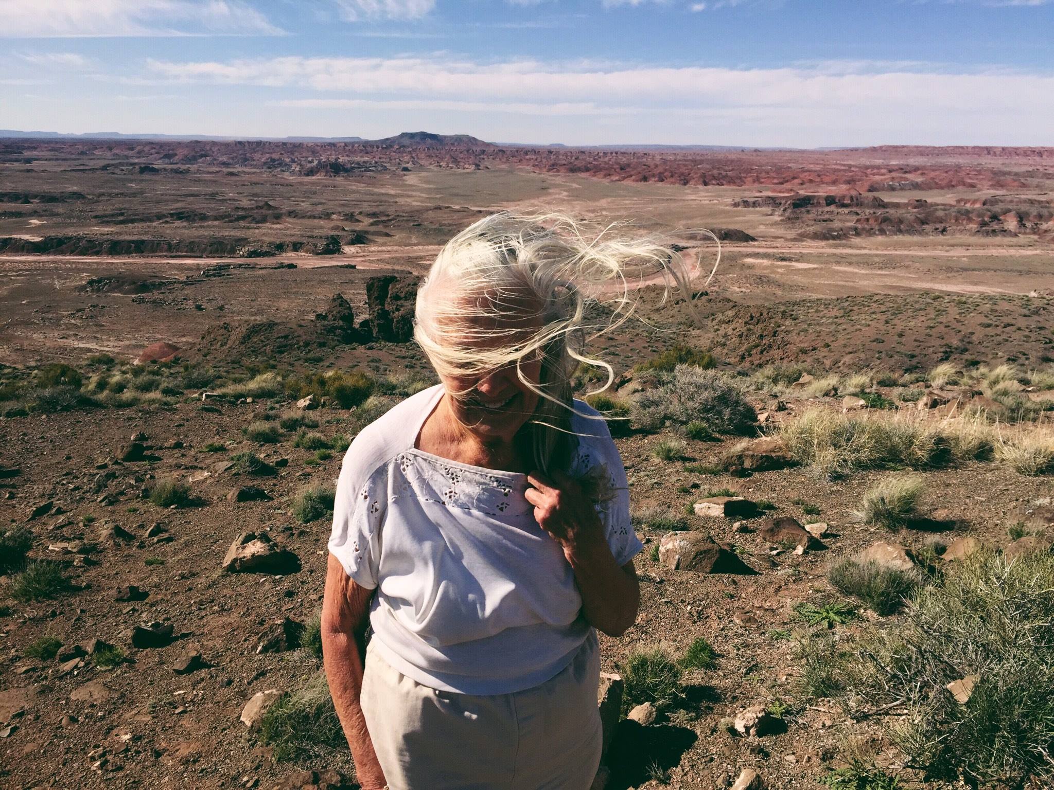 The windblown sun-scorched hills of the painted desert