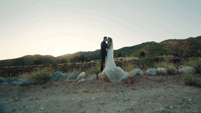 A Summer's Day Wedding in Oak Glen